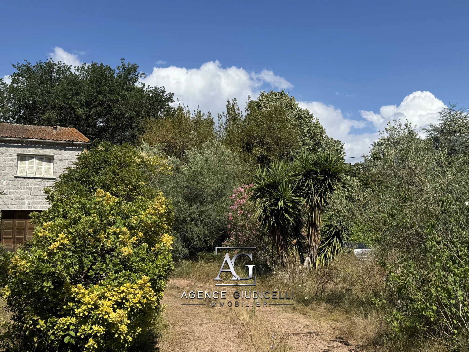 Hus i Prunelli-di-Fiumorbo, Corsica 12712749