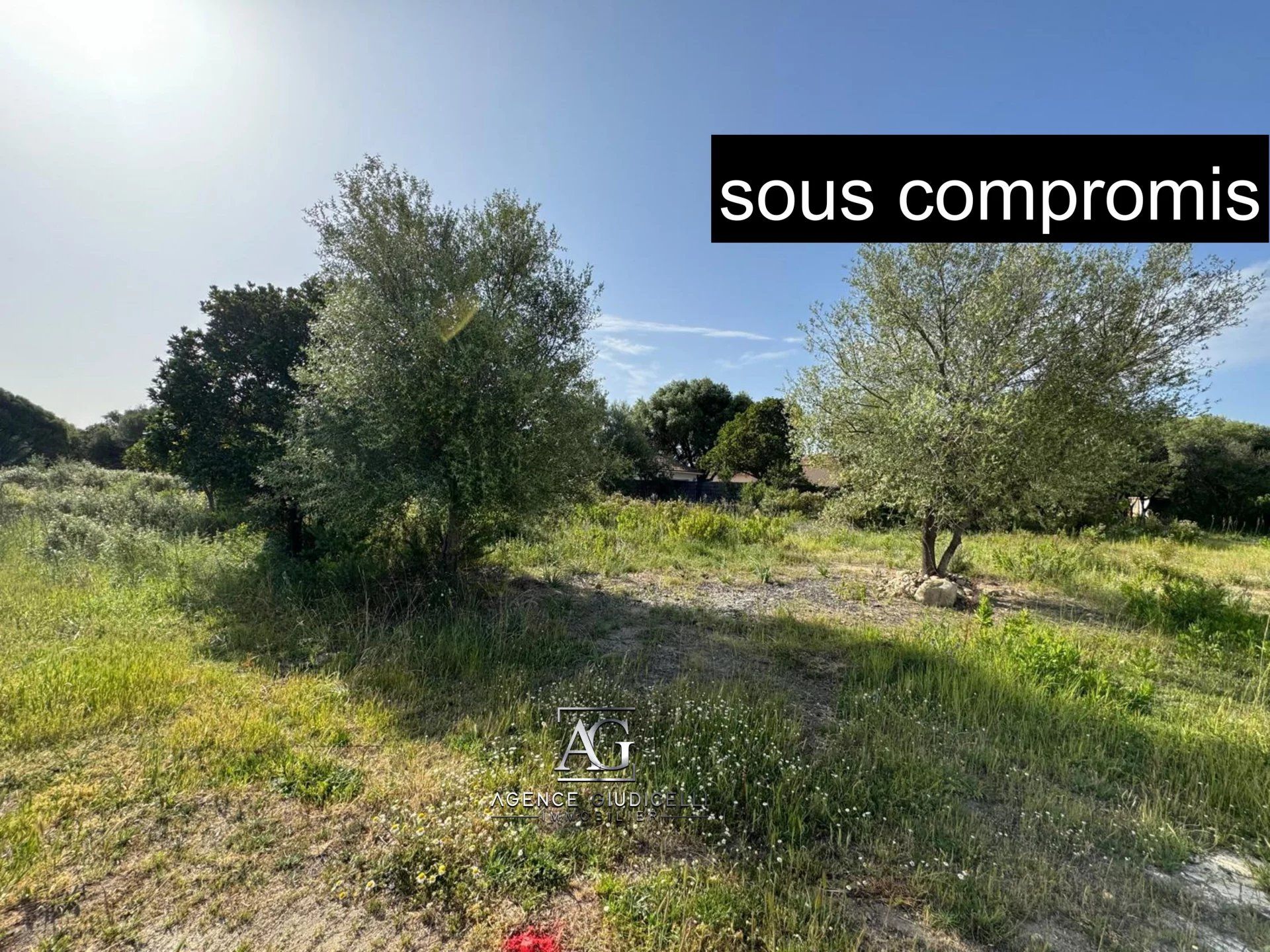 Land i Ventiseri, Corsica 12712754