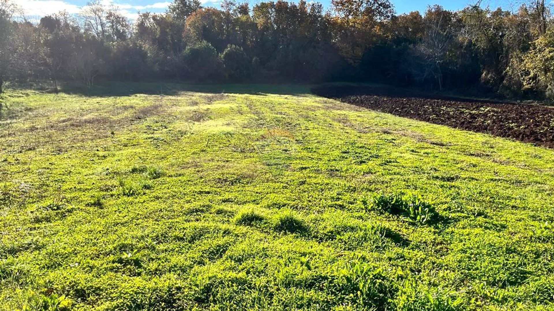 Land in Cepljani, Istarska Zupanija 12713530