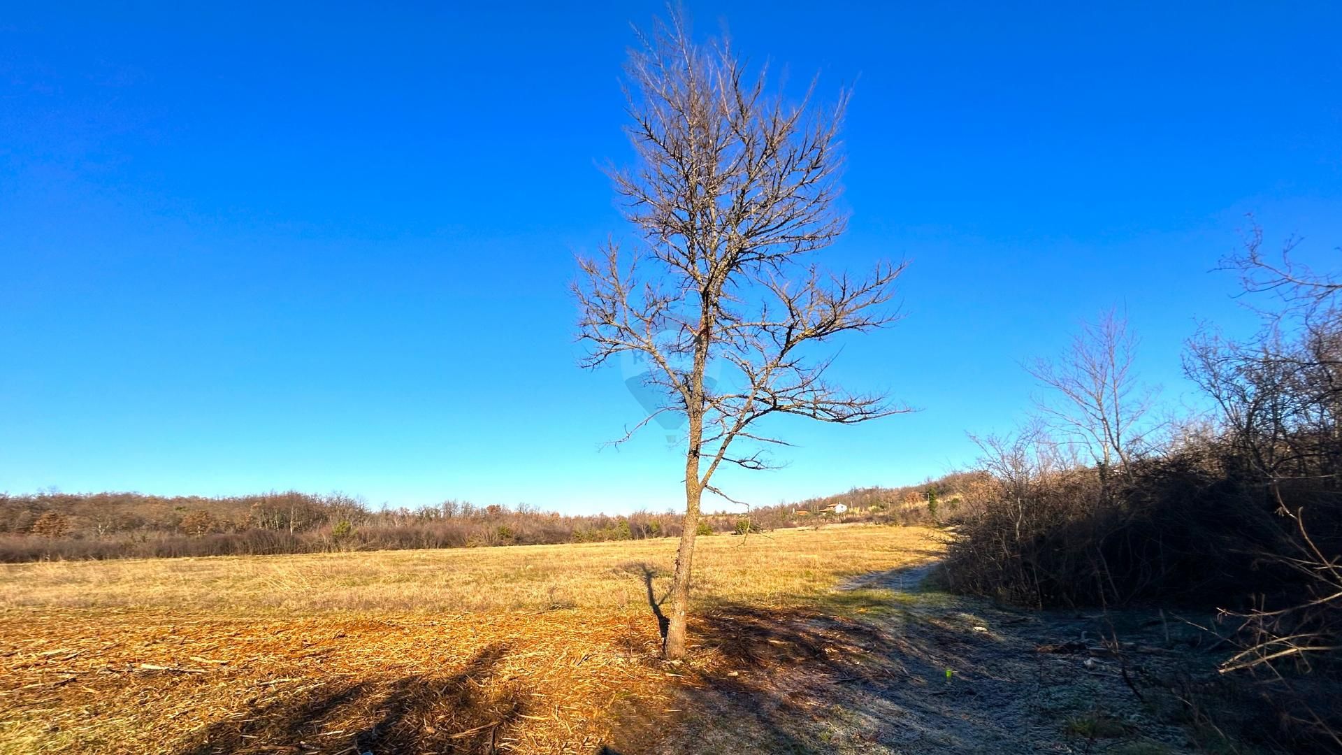 Land i Cepljani, Istarska Zupanija 12713533