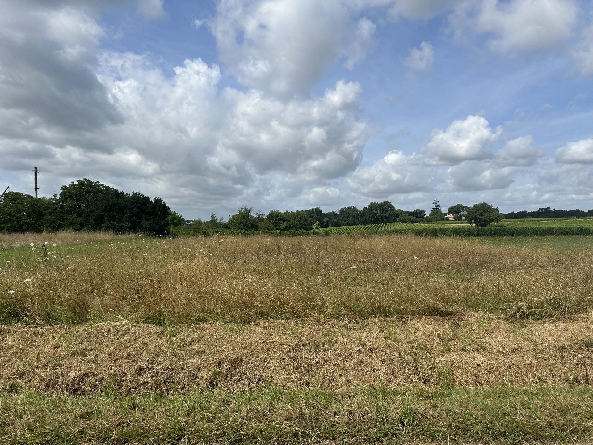 Land in Marcillac, Nouvelle-Aquitaine 12713562