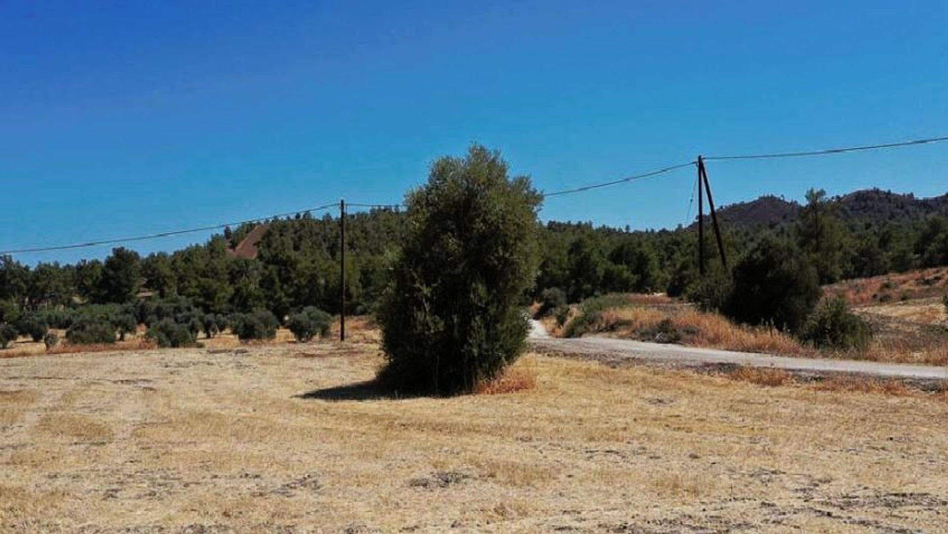 σπίτι σε Πέρα Χωριό, Λευκωσία 12716450