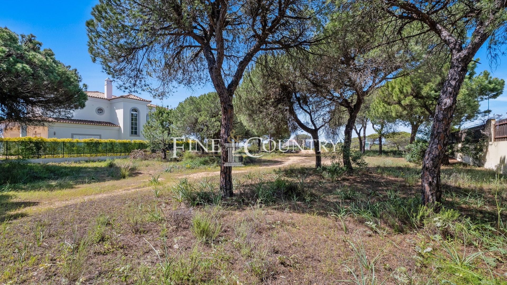 Land in Almancil, Faro 12717213