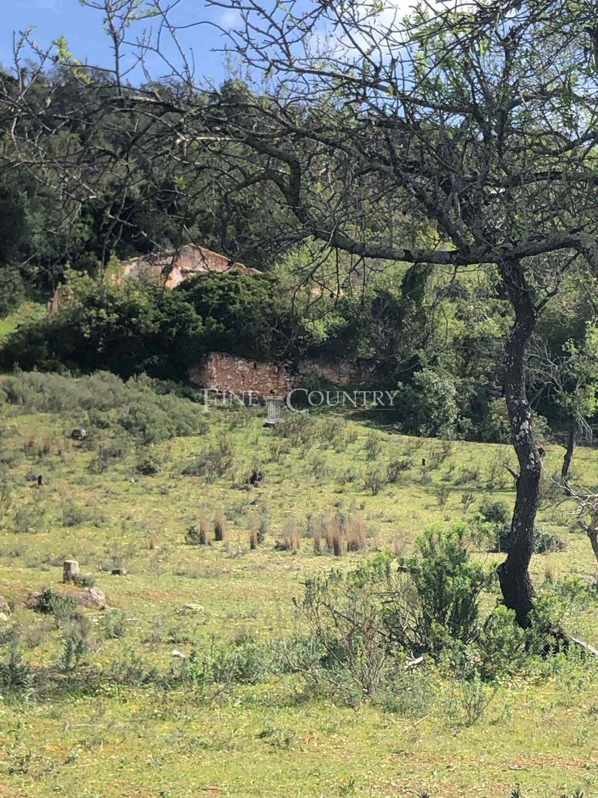 Tanah di Loulé, Faro District 12717226