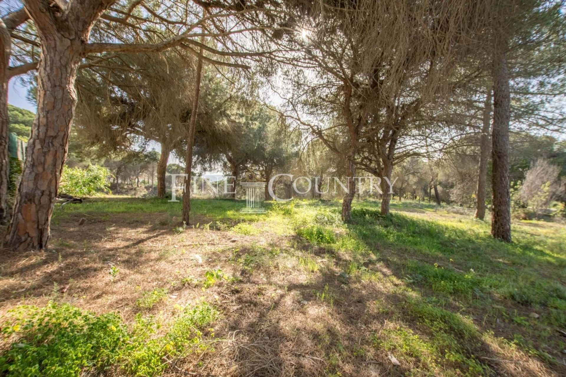 Land in Almancil, Faro 12717244