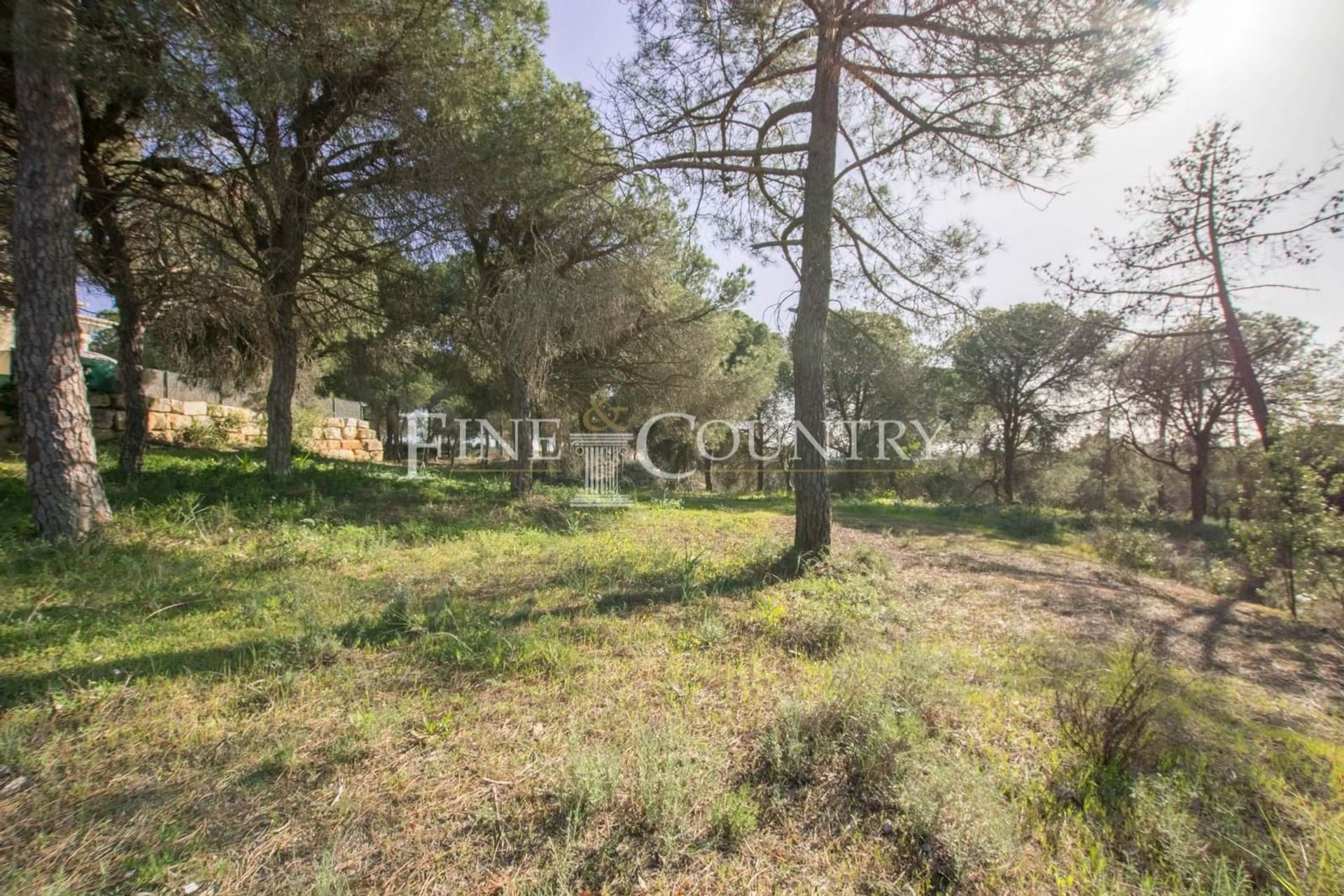 Land im Almancil, Faro 12717244