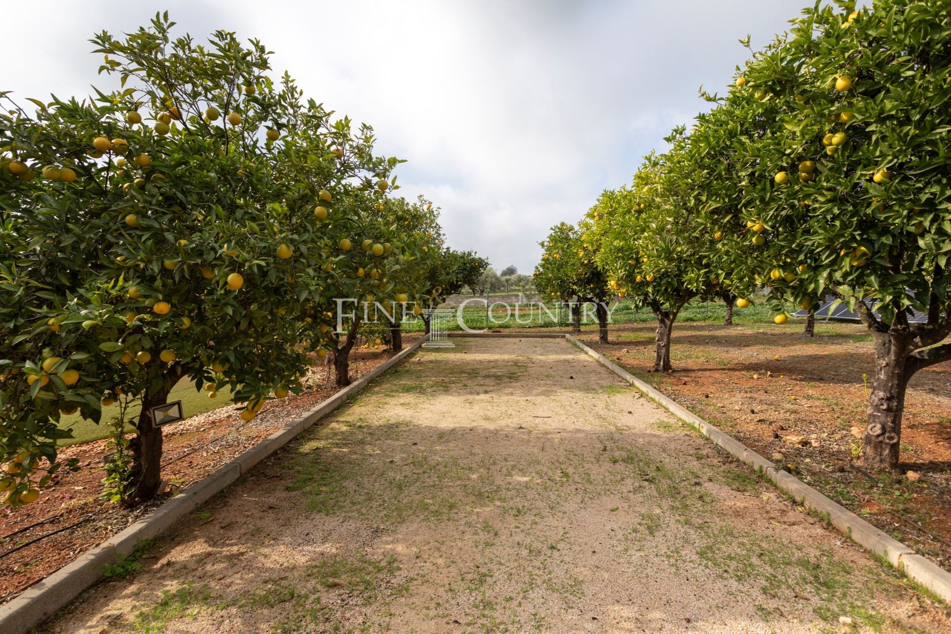 σπίτι σε Vila Nova de Cacela, Faro 12717303