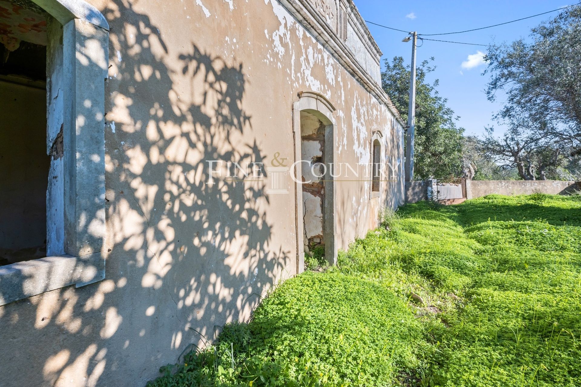 Terra no Loulé, Faro 12717342