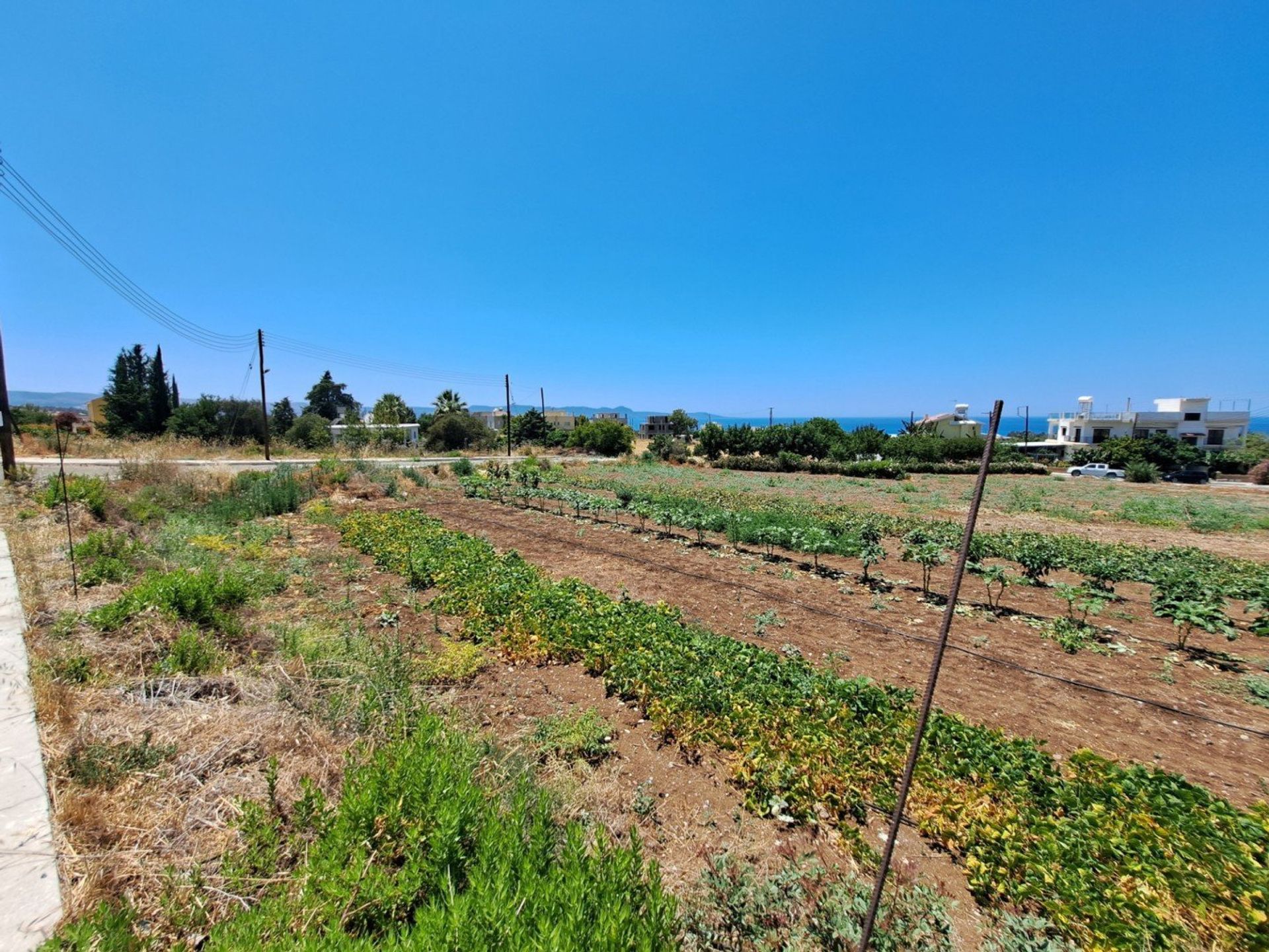 Tanah di kebijakan, Pafos 12720684