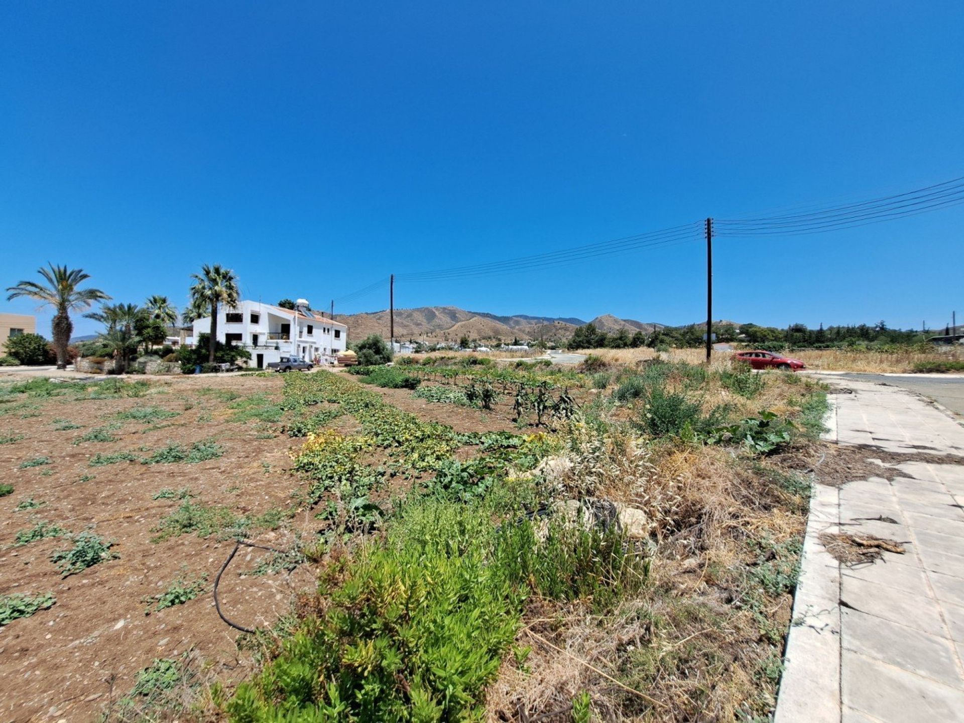 Tanah di kebijakan, Pafos 12720684