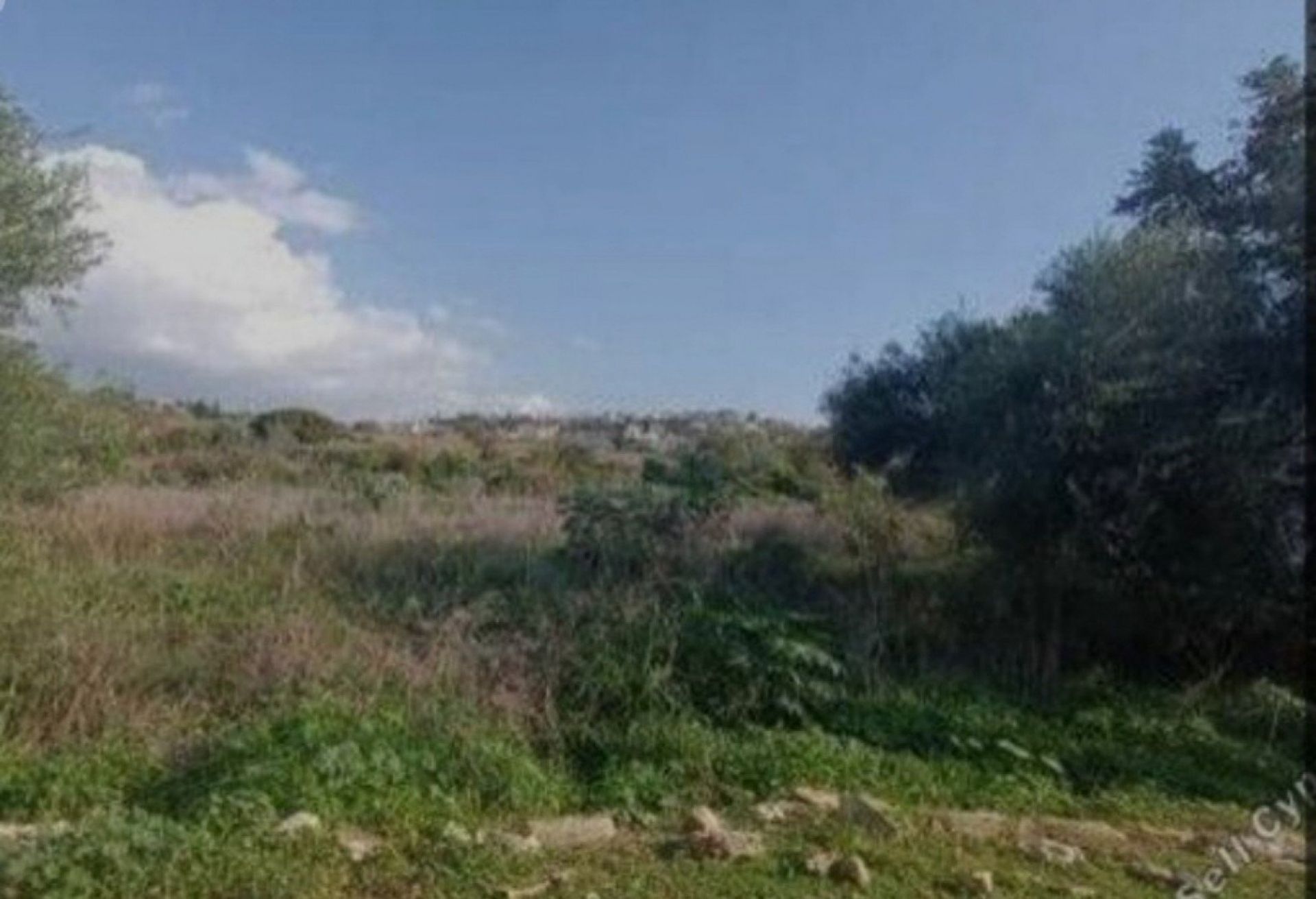 Land in Statos - Ay. Photios, Paphos 12720709