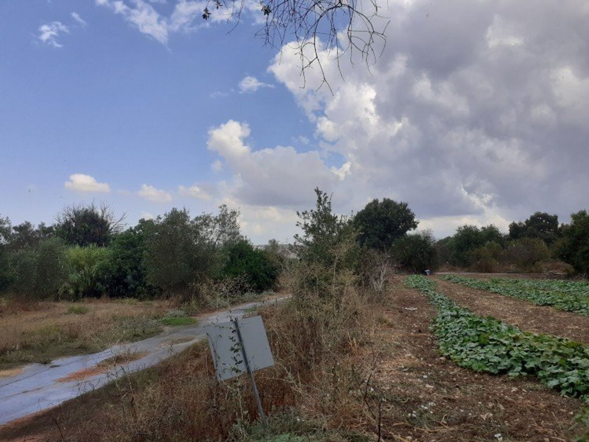 Tanah di Mesogi, Pafos 12720741