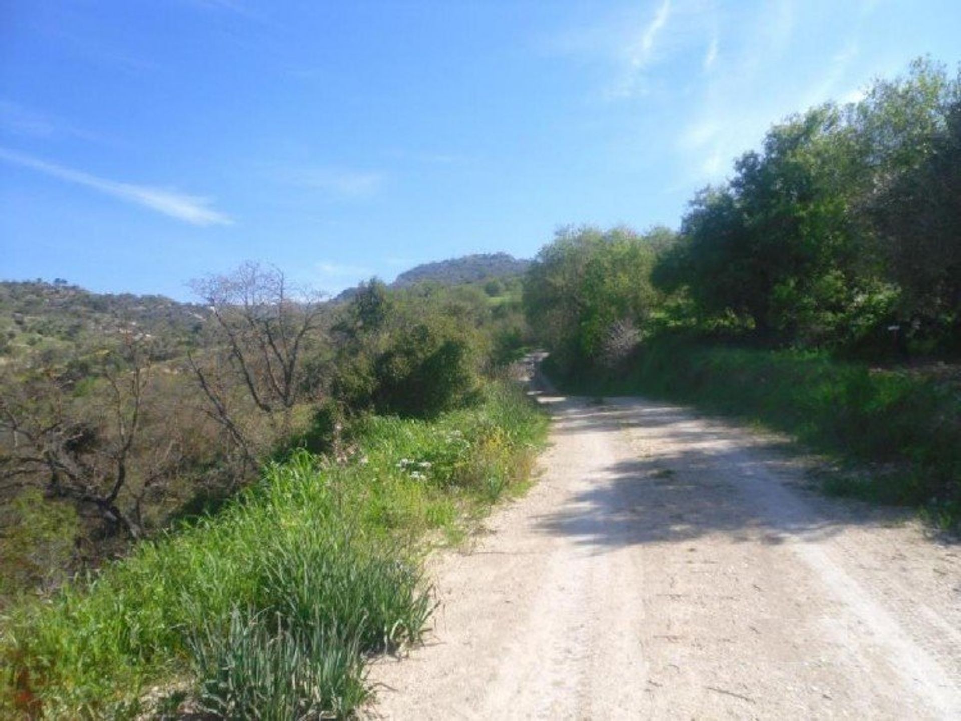 Tierra en Mesa Chorio, Pafos 12720876