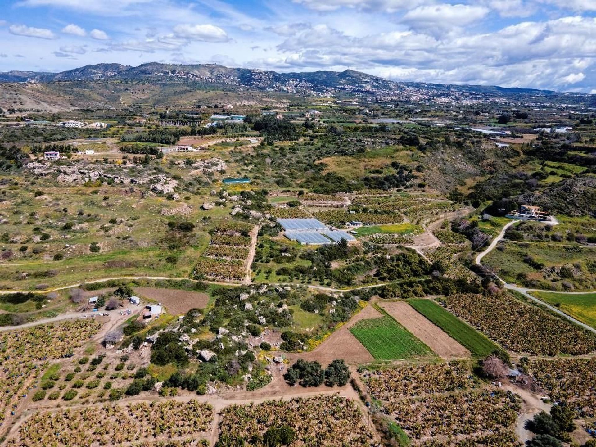 Terre dans Kissónerga, Paphos 12721210