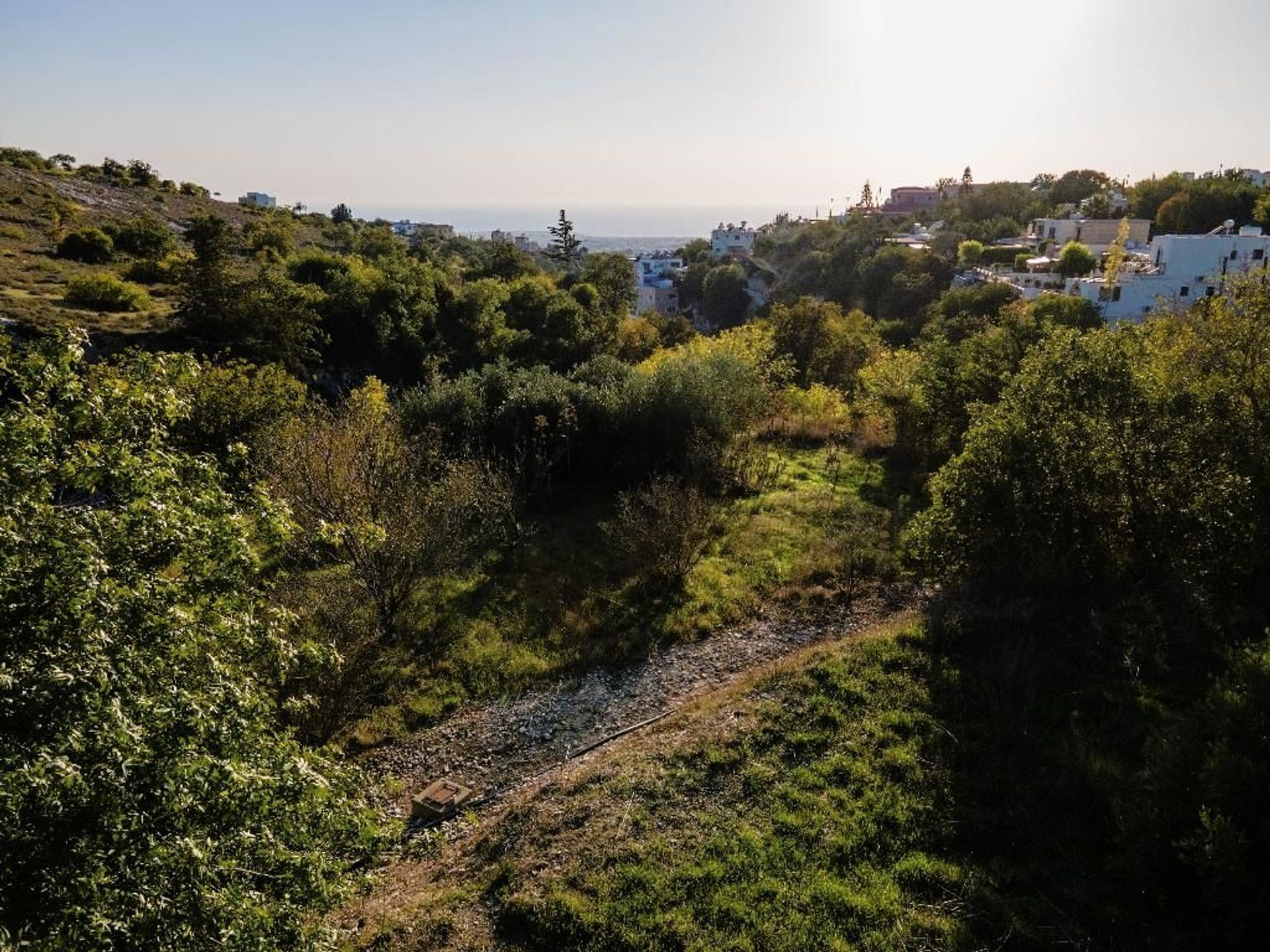 Land in Mesogi, Pafos 12721213