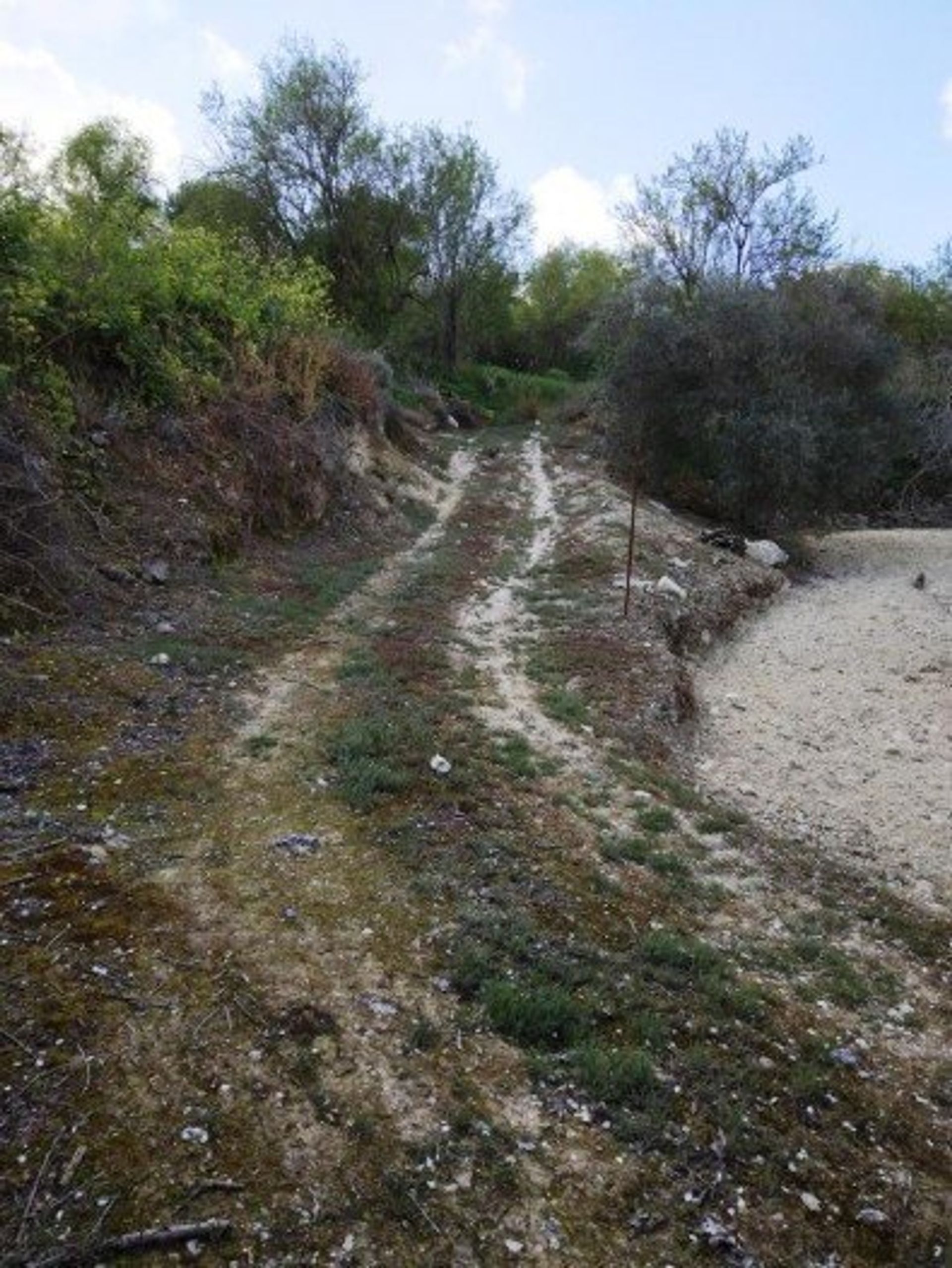 Tierra en Mesa Chorio, Pafos 12721294