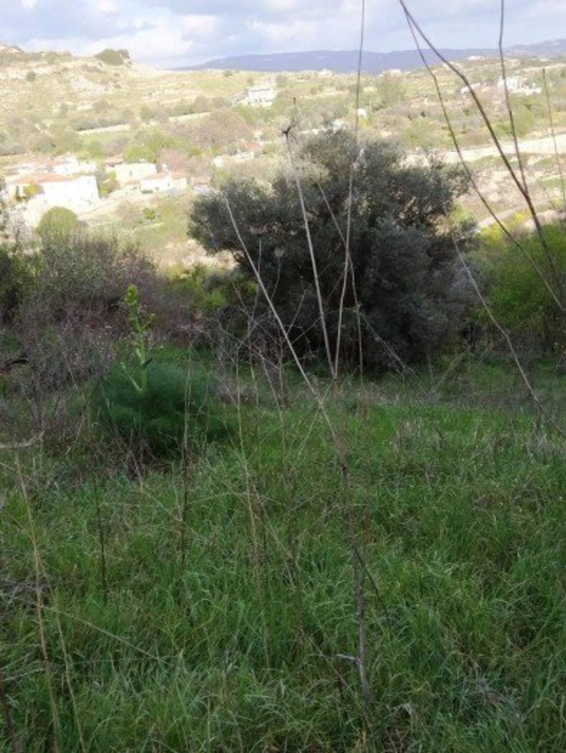 Tierra en Mesa Chorio, Pafos 12721294