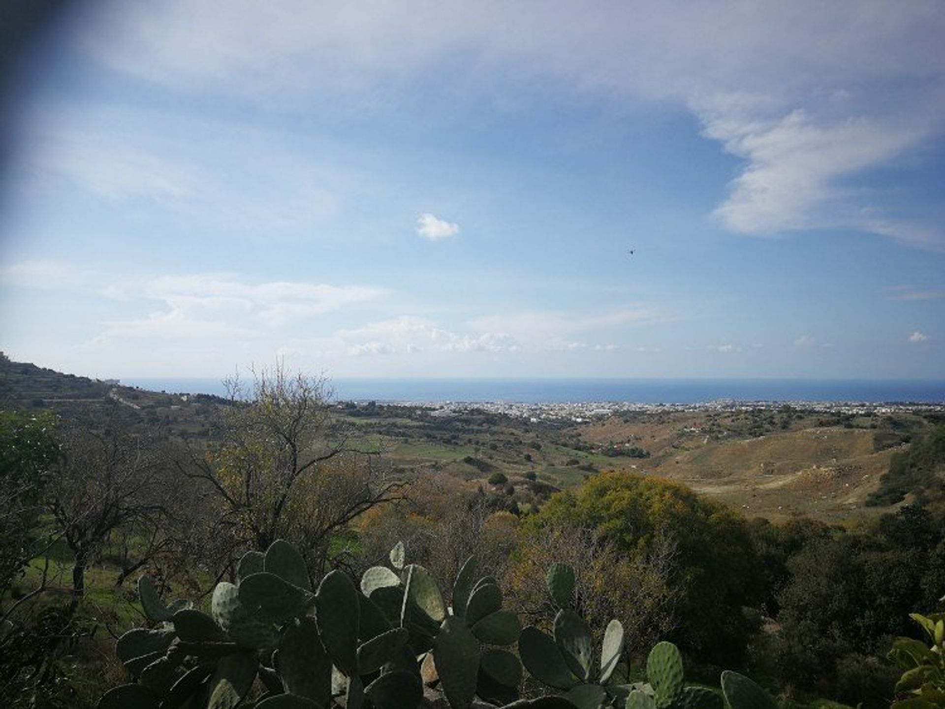 Land im Mesa Chorio, Pafos 12721312