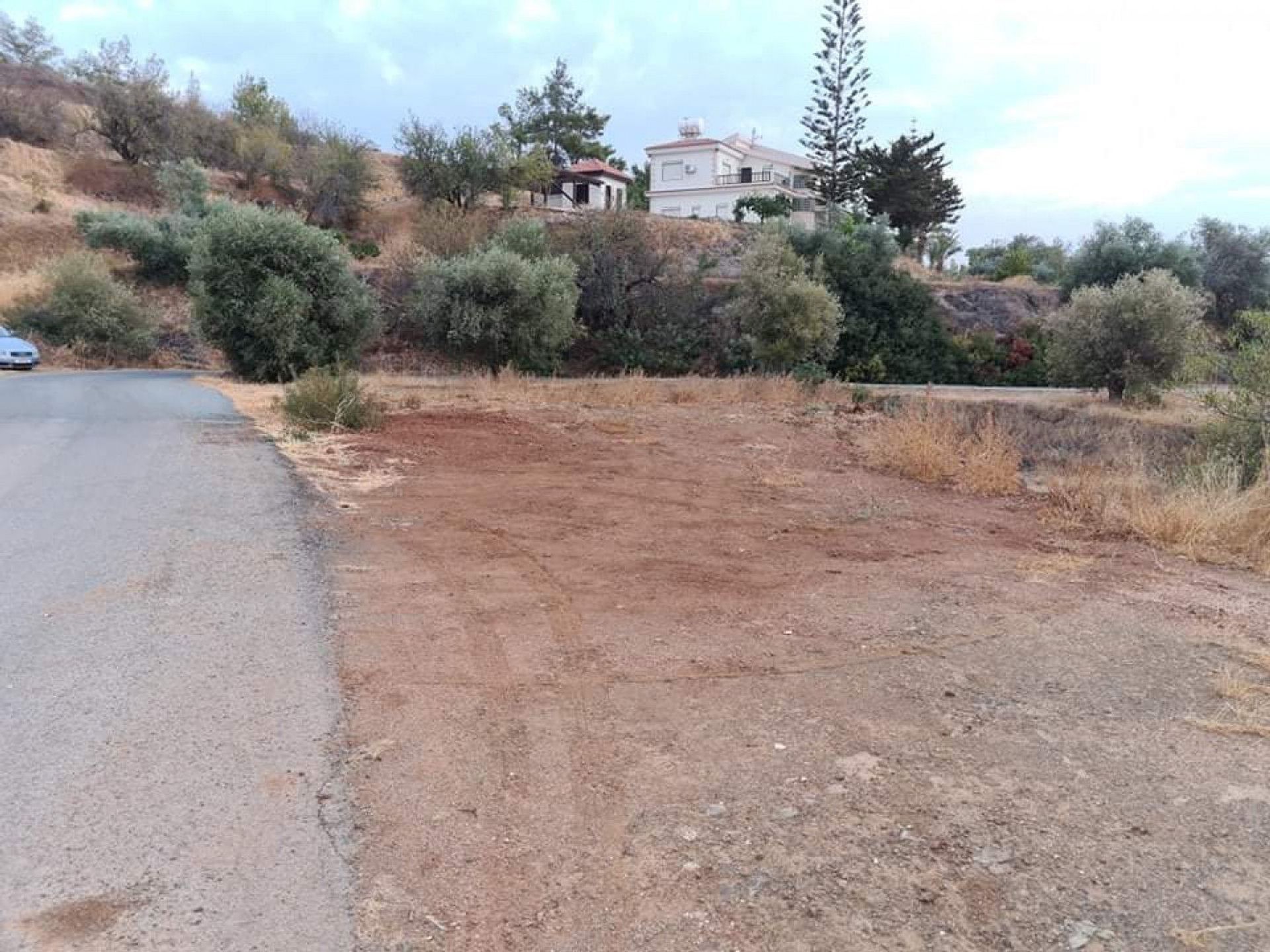 Wylądować w Polis, Pafos 12721401