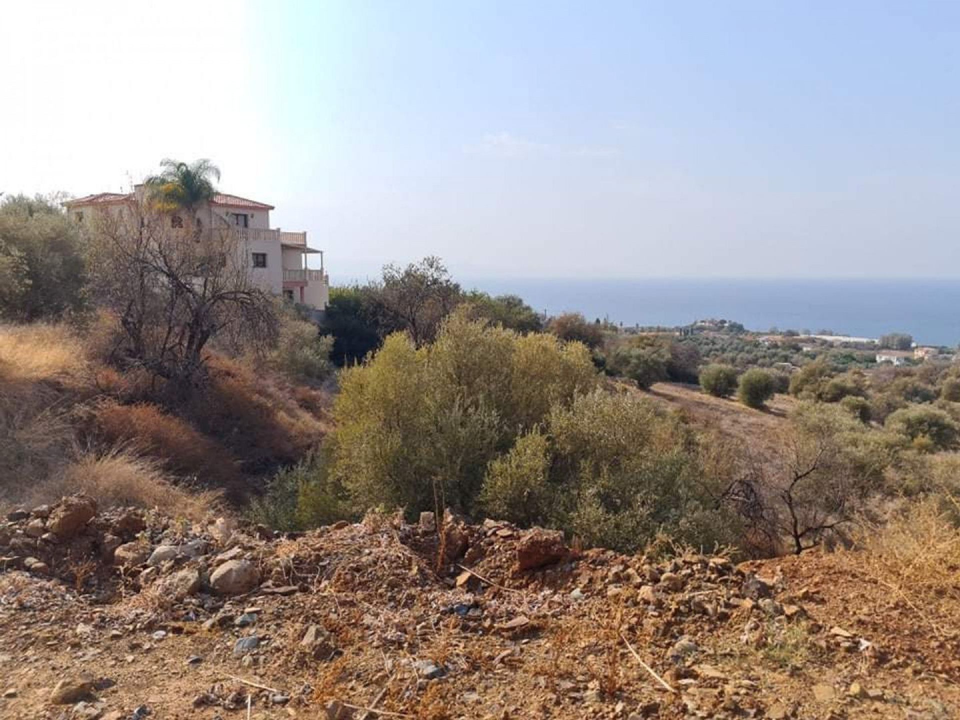 Wylądować w Polis, Pafos 12721401