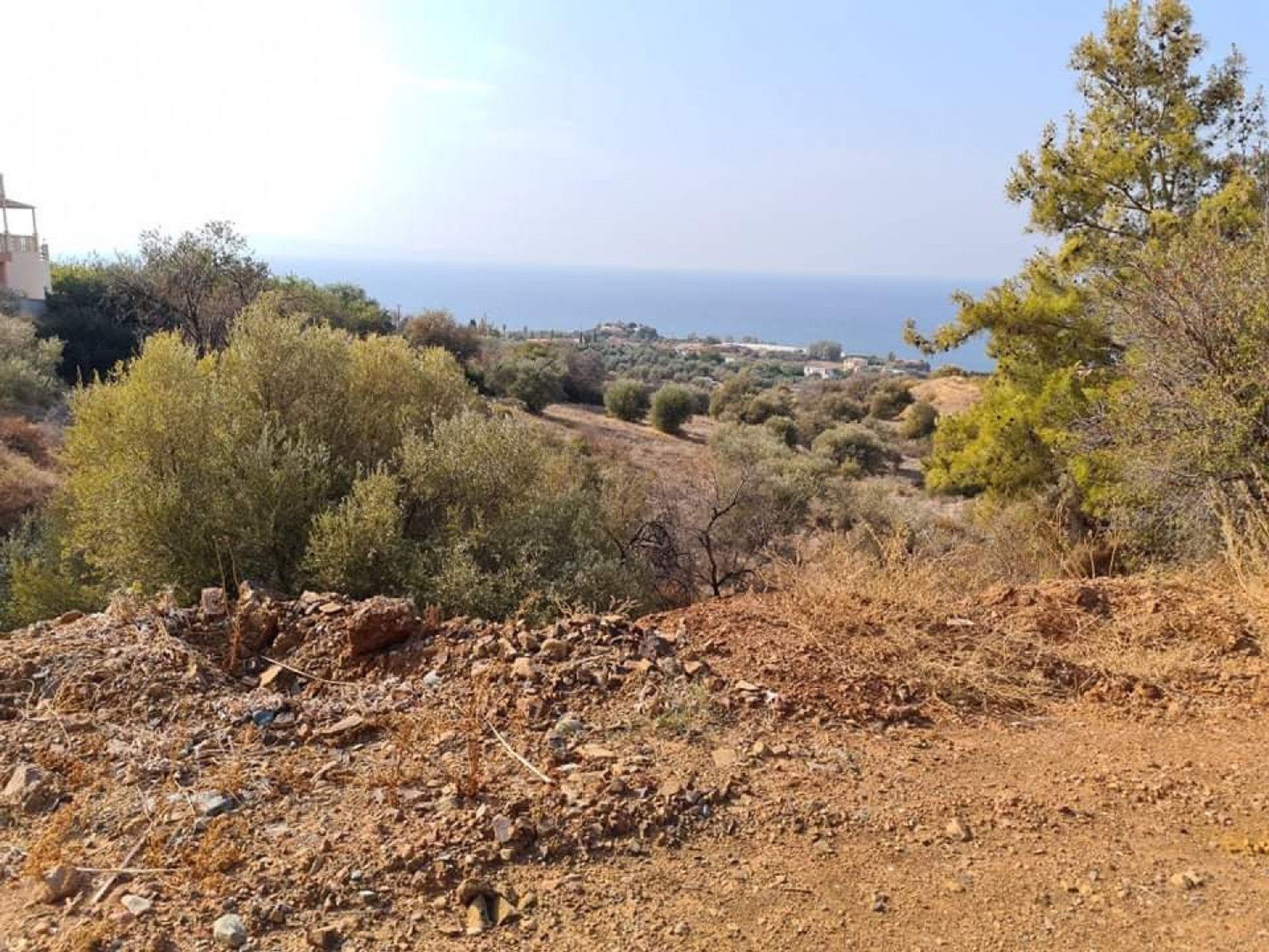 Wylądować w Polis, Pafos 12721401