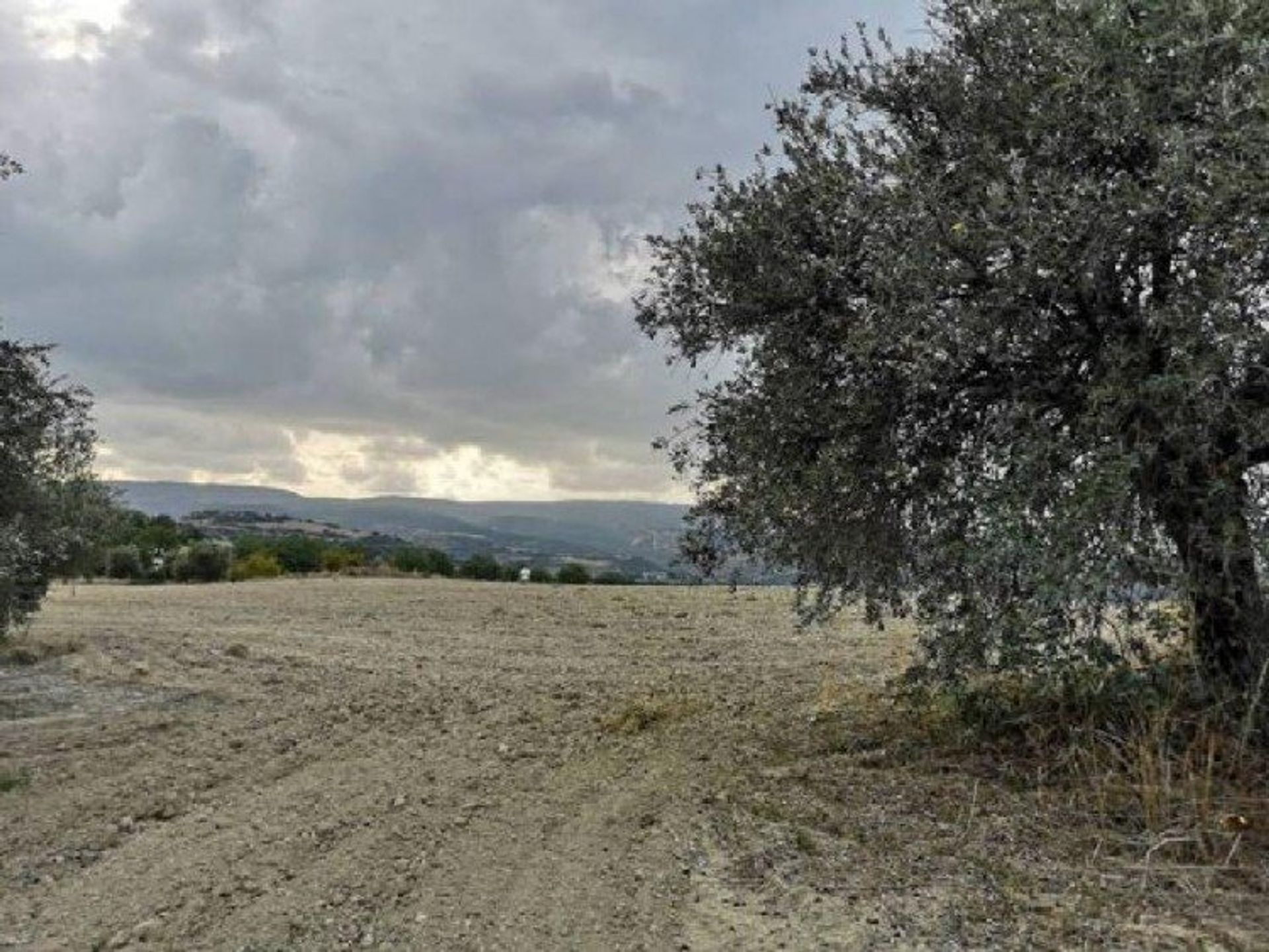 Tierra en Polis, Pafos 12721404