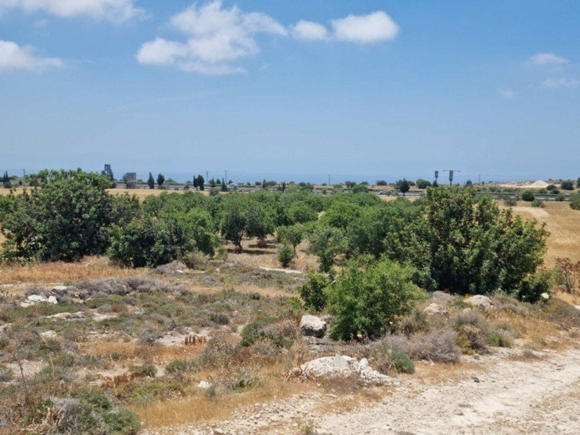 Tierra en konia, Pafos 12721561