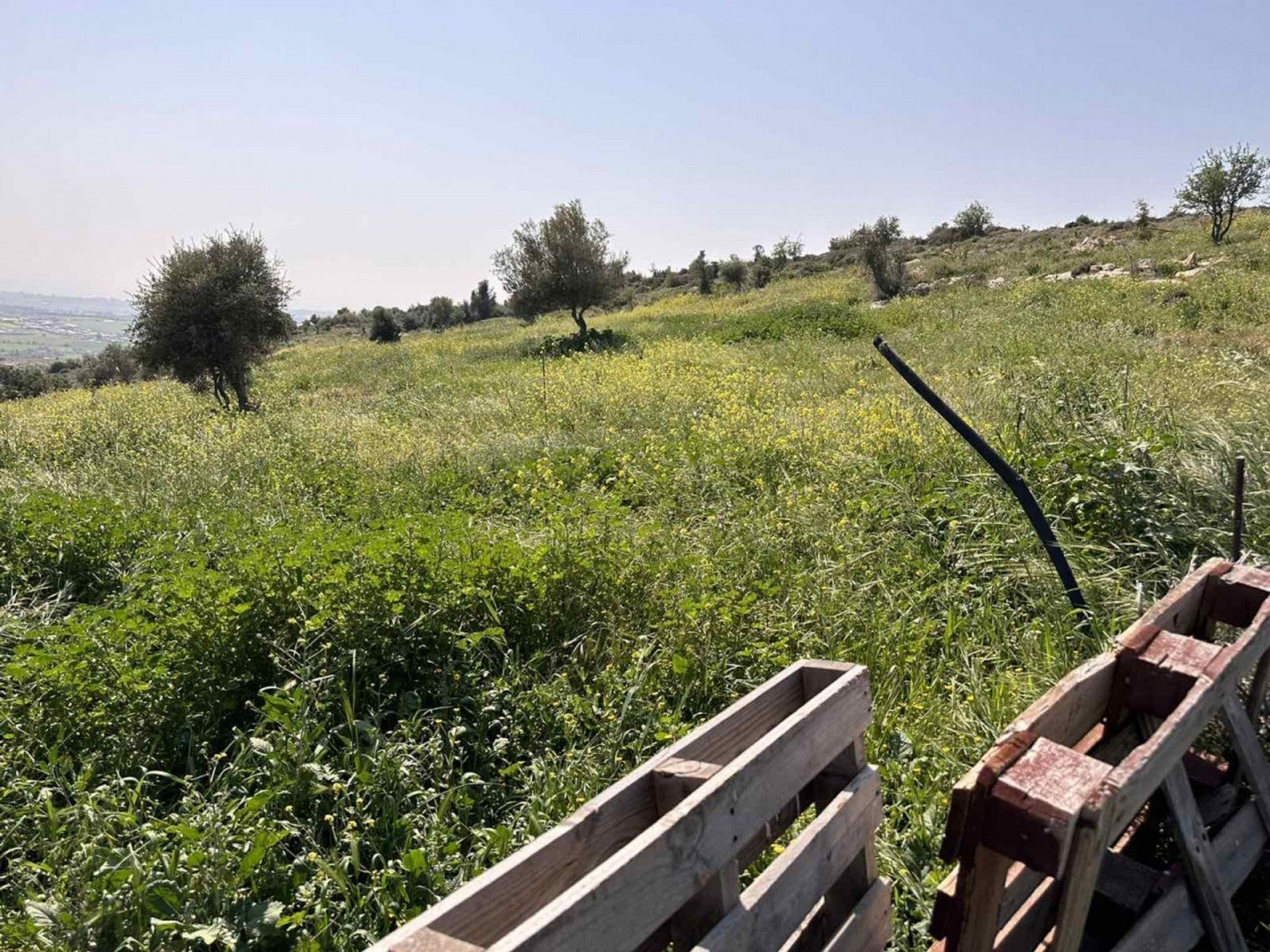 Tierra en Agia Marinouda, Pafos 12721754