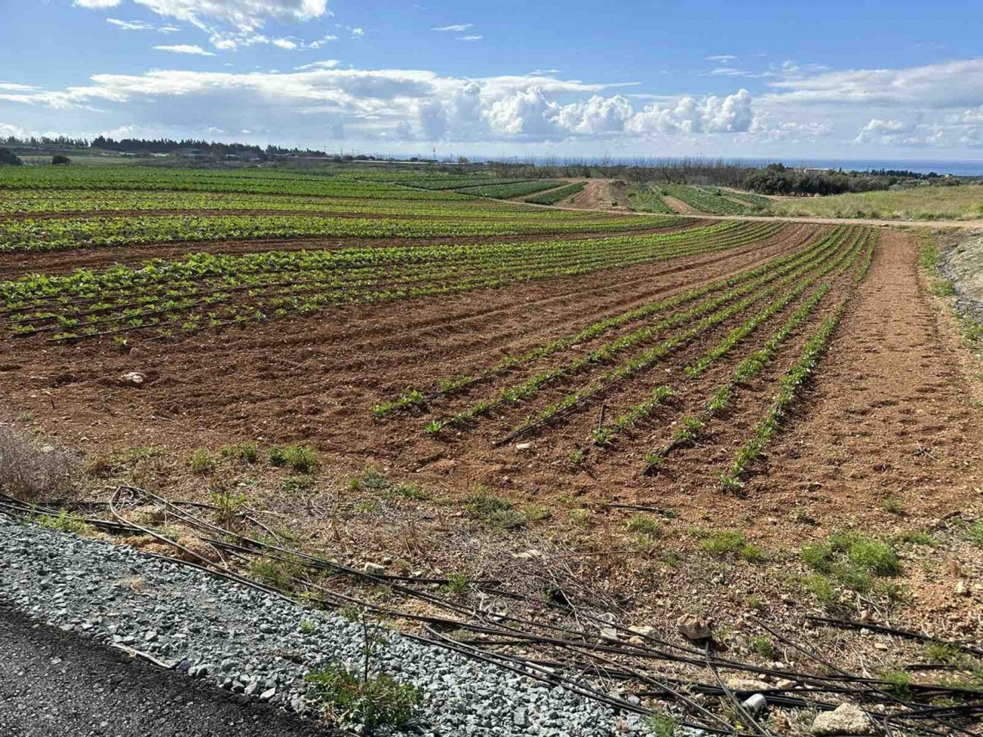 Tierra en Agia Marinouda, Pafos 12721811