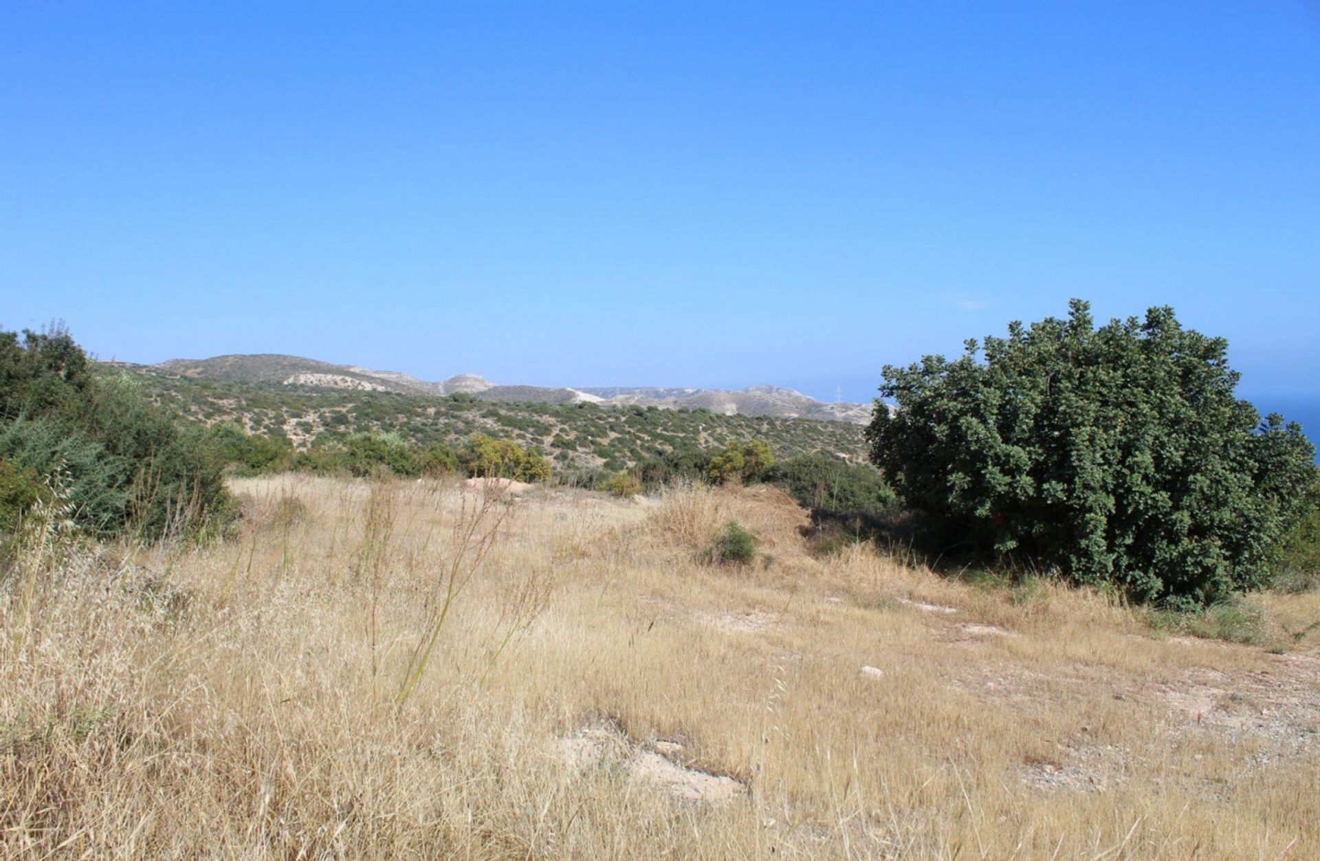 Terre dans Agia Marinouda, Paphos 12721909