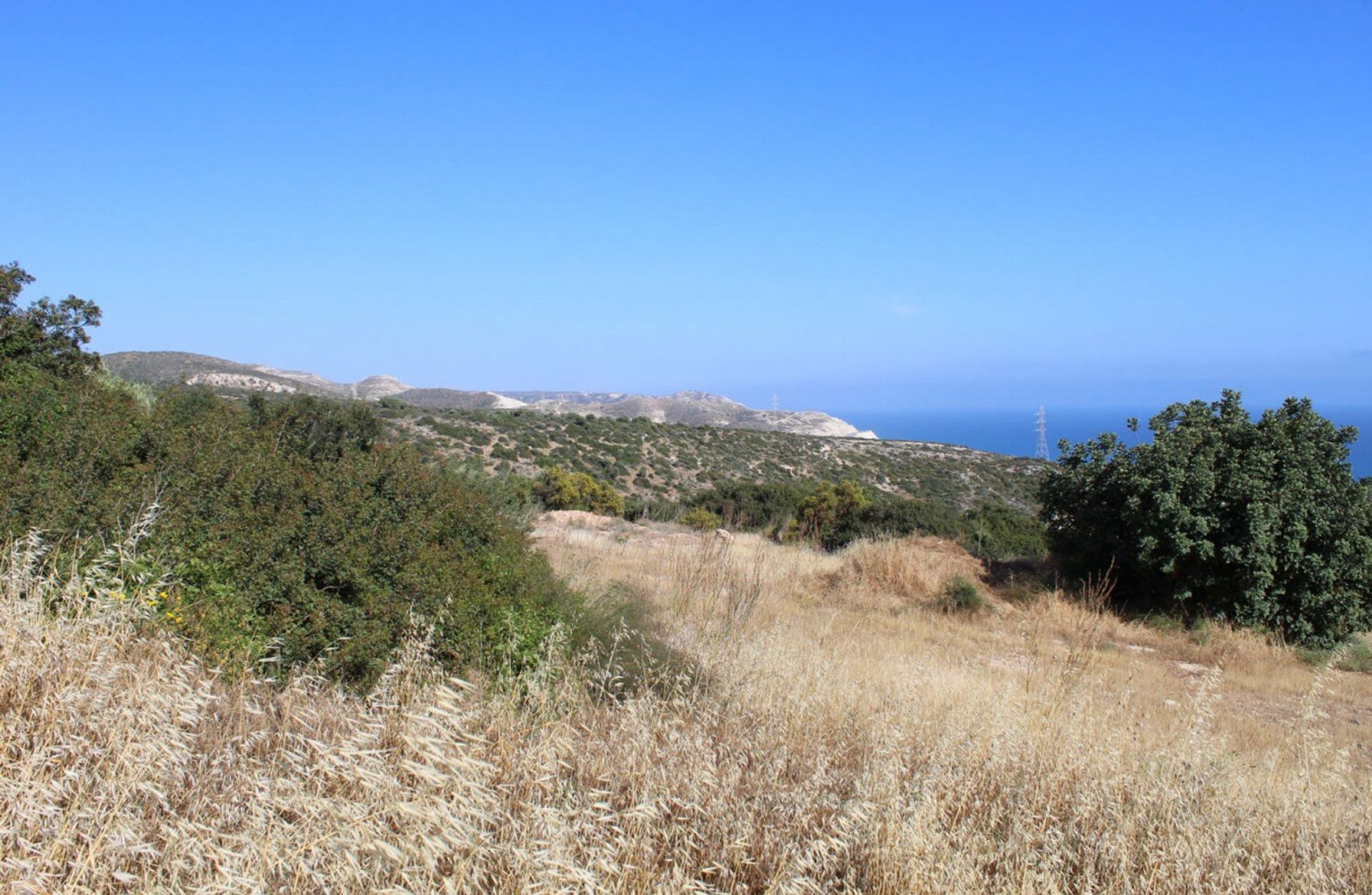 Terre dans Agia Marinouda, Paphos 12721909