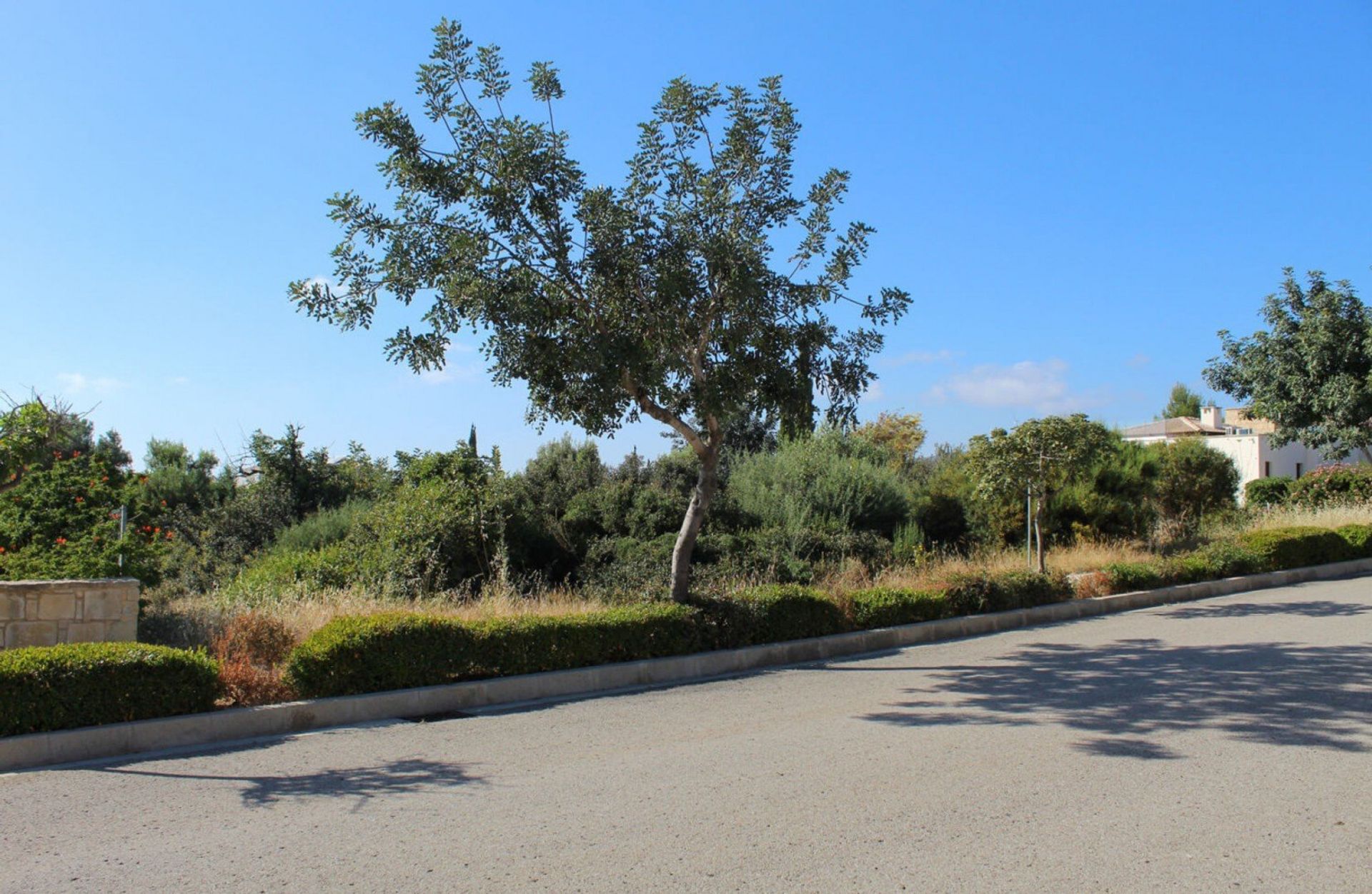 Land im Agia Marinouda, Pafos 12721916