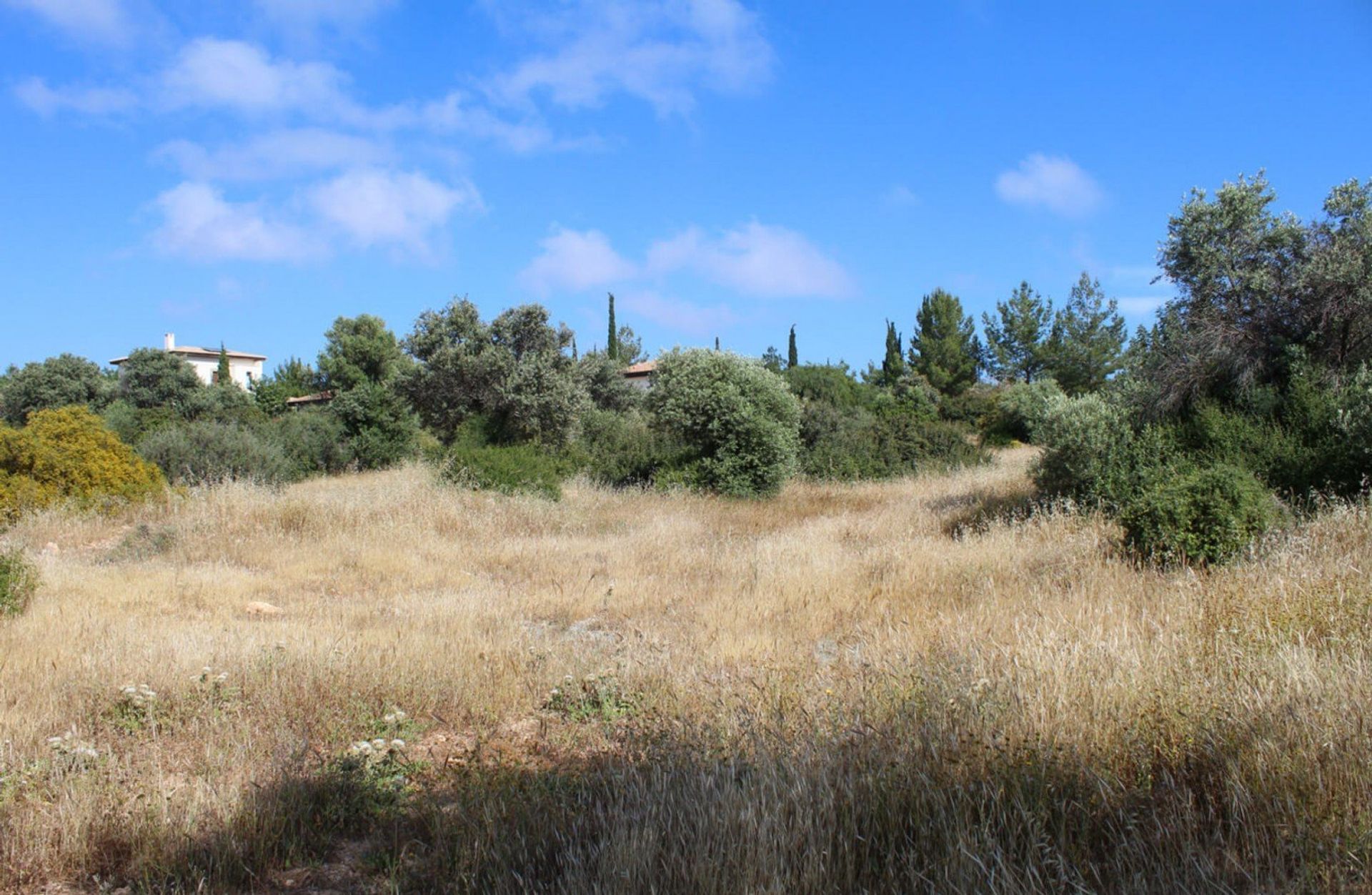 Jord i Agia Marinouda, Pafos 12721926