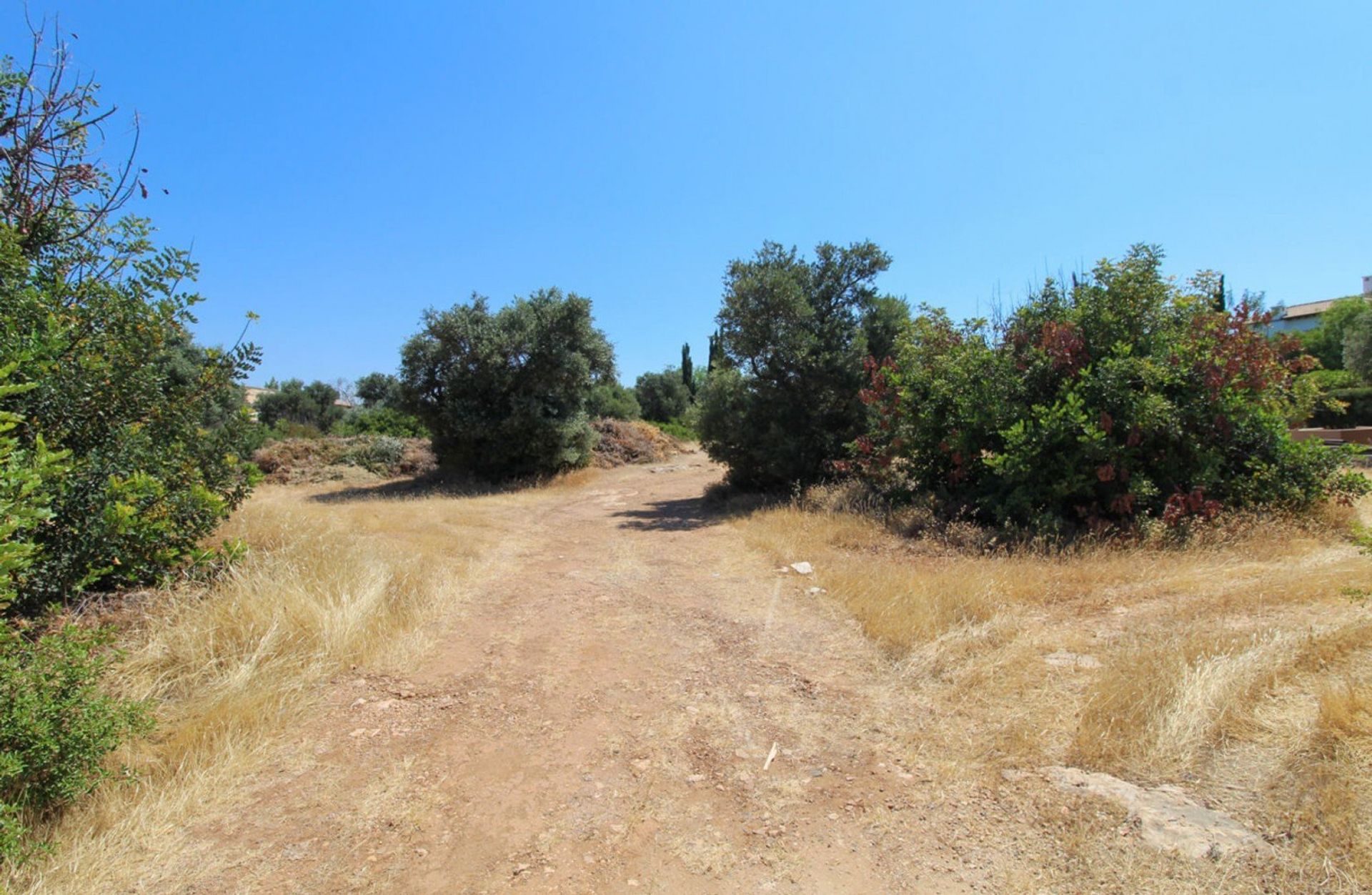 Maa sisään Agia Marinouda, Pafos 12721930