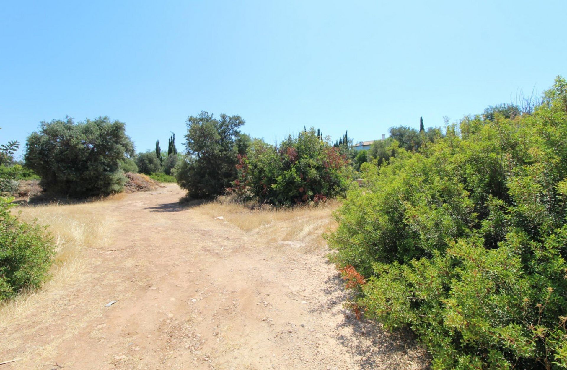 Maa sisään Agia Marinouda, Pafos 12721930