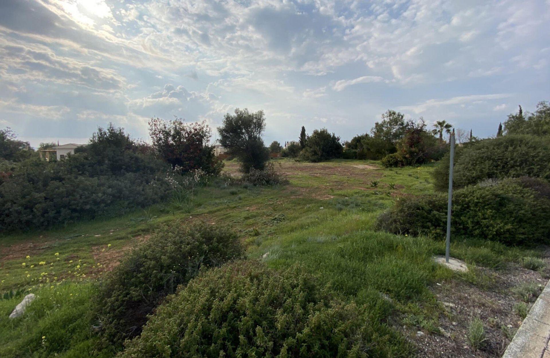 Terra no Agia Marinouda, Pafos 12721970