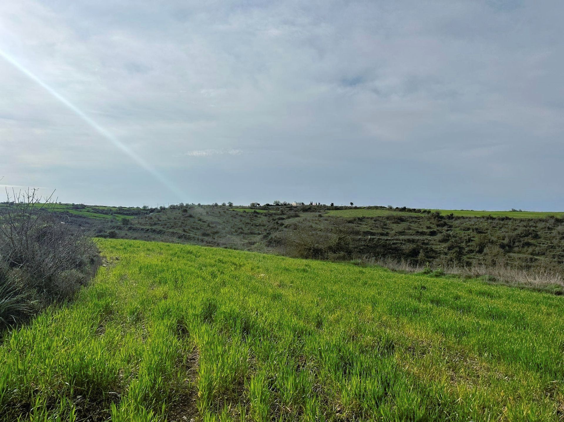 Jord i Pegeia, Pafos 12721973