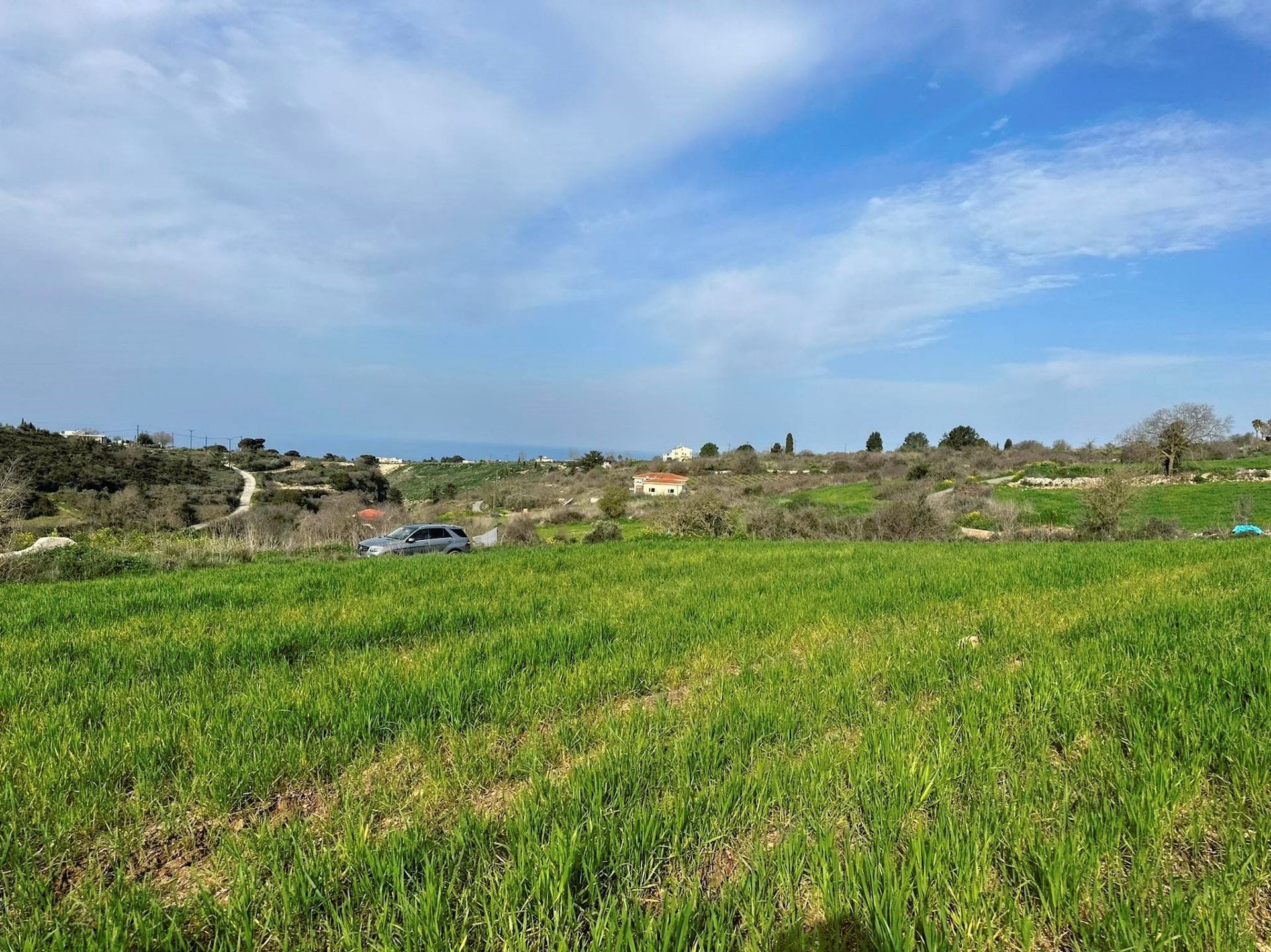 Tanah di Kathikas, Paphos 12721973