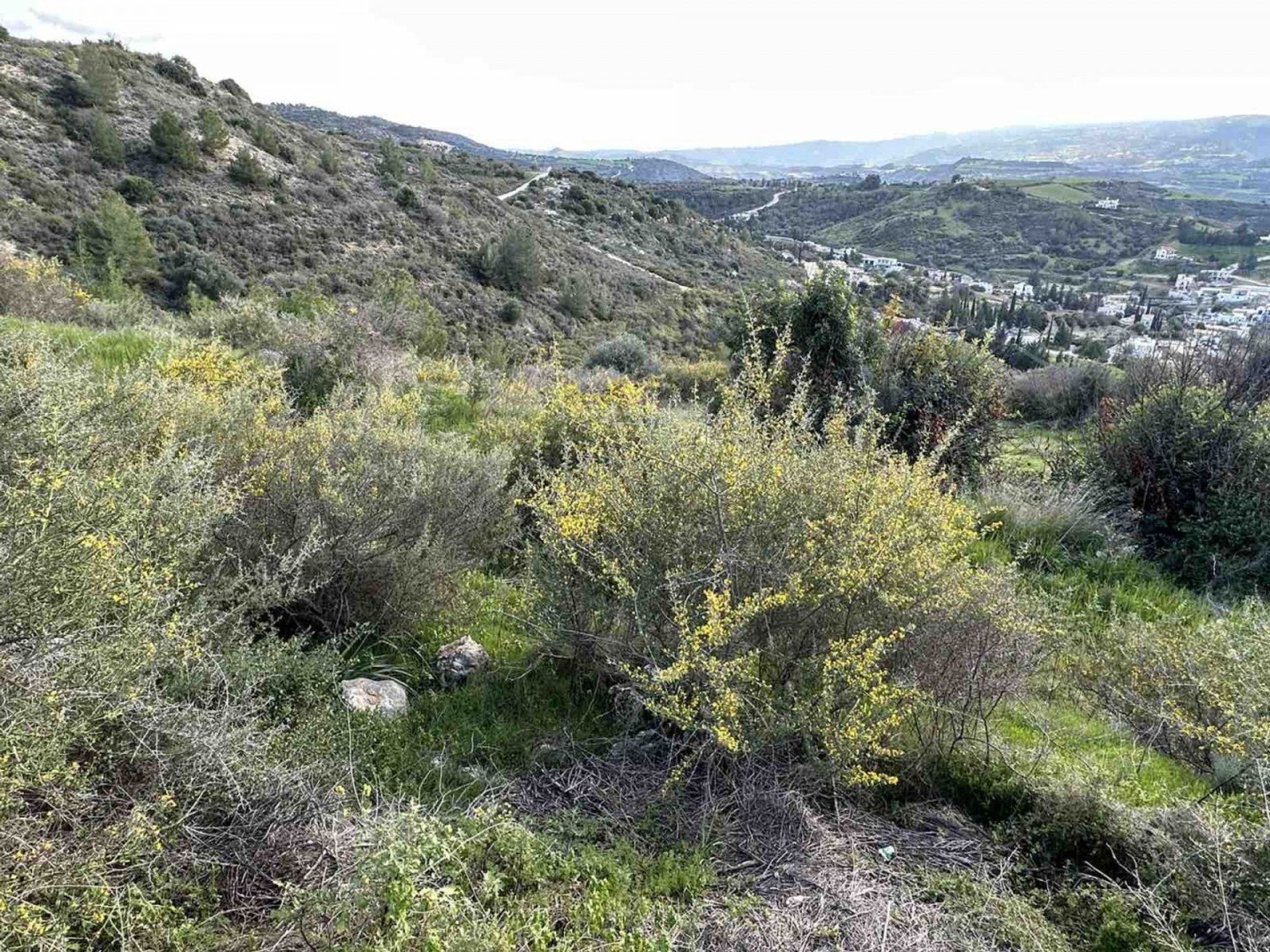 Land in Steni, Paphos 12722062