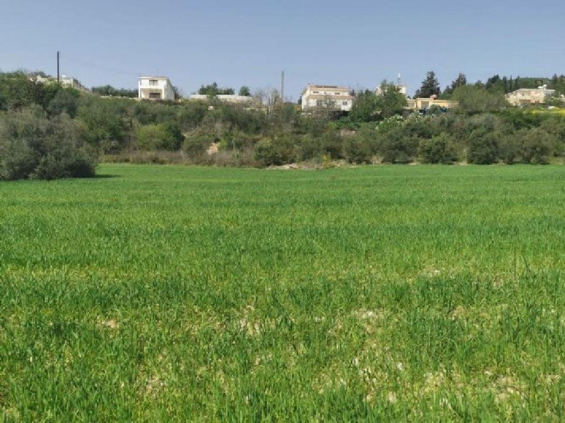 Land i Tala, Pafos 12722083