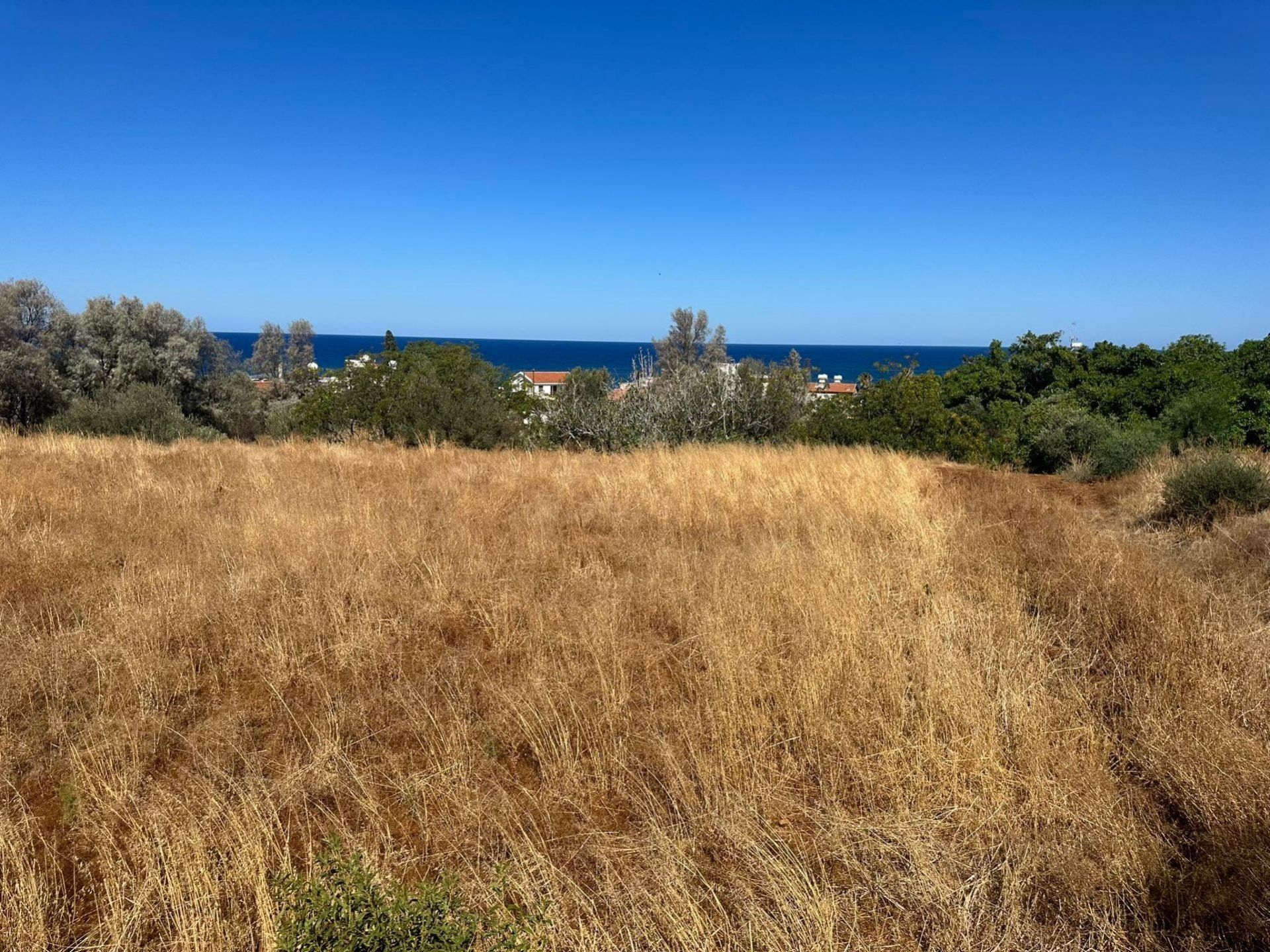 Tanah di kebijakan, Pafos 12722279