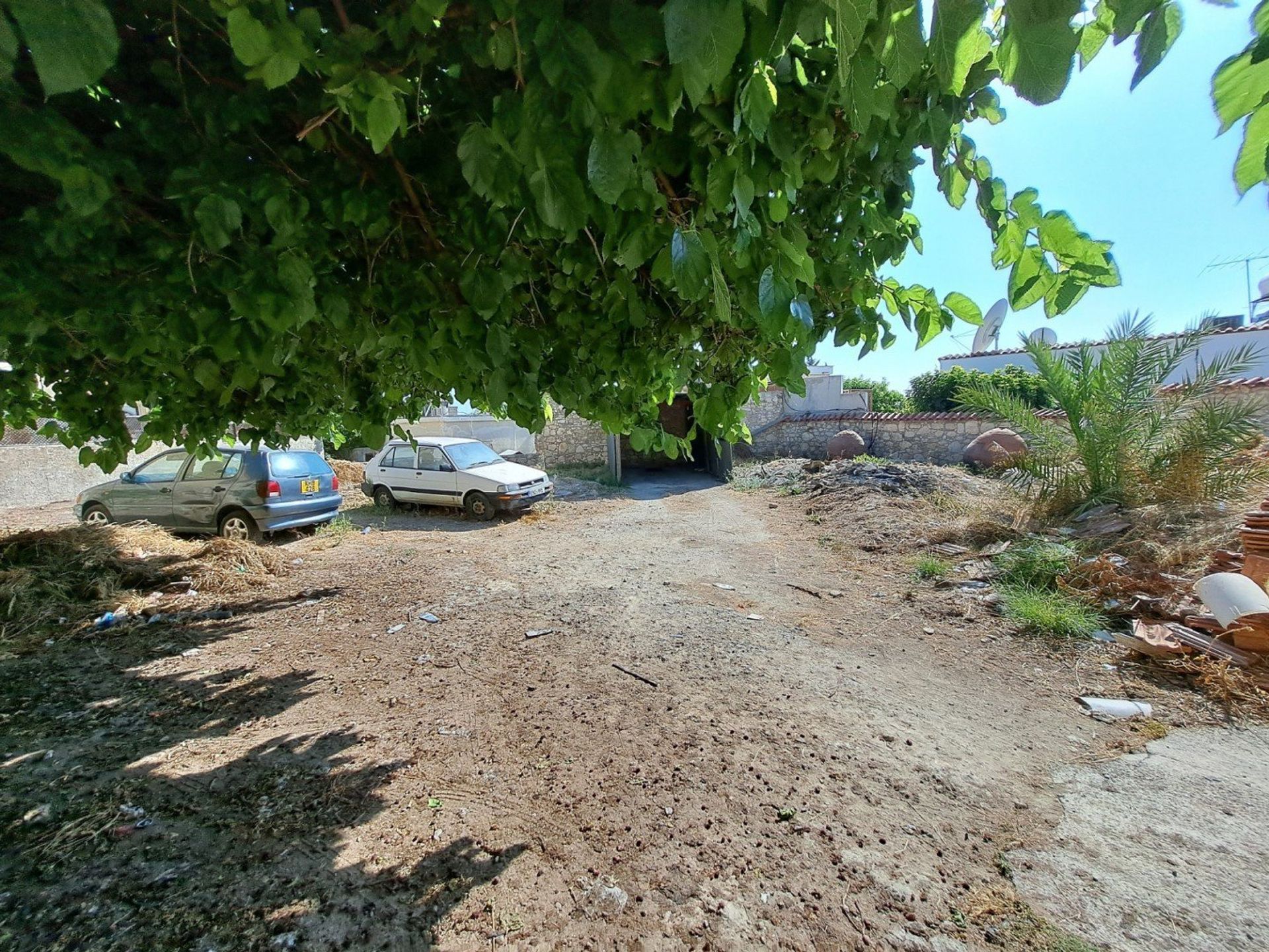 Land in Tala, Pafos 12722308