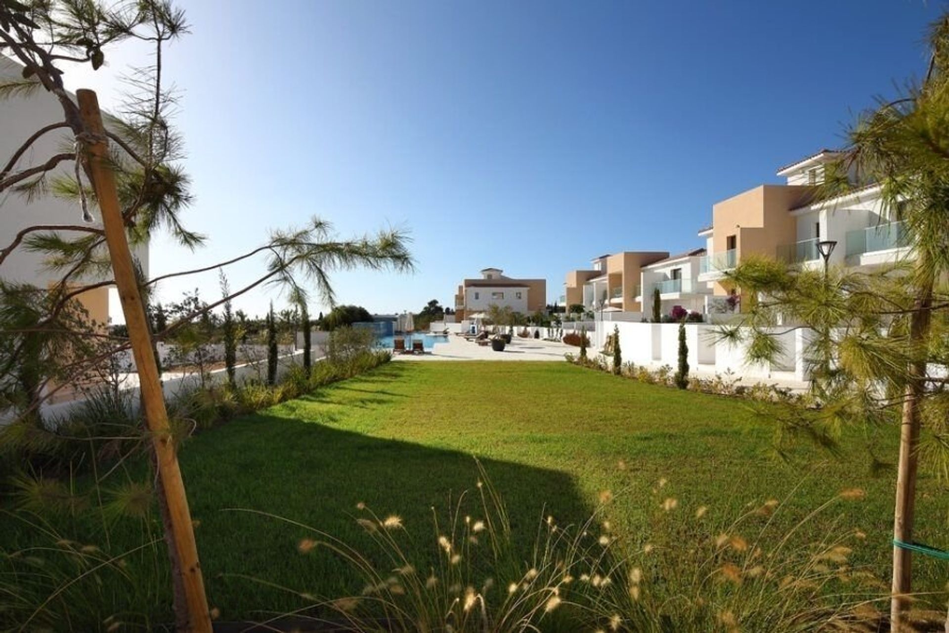 Multiple Houses in Geroskipou, Pafos 12722393