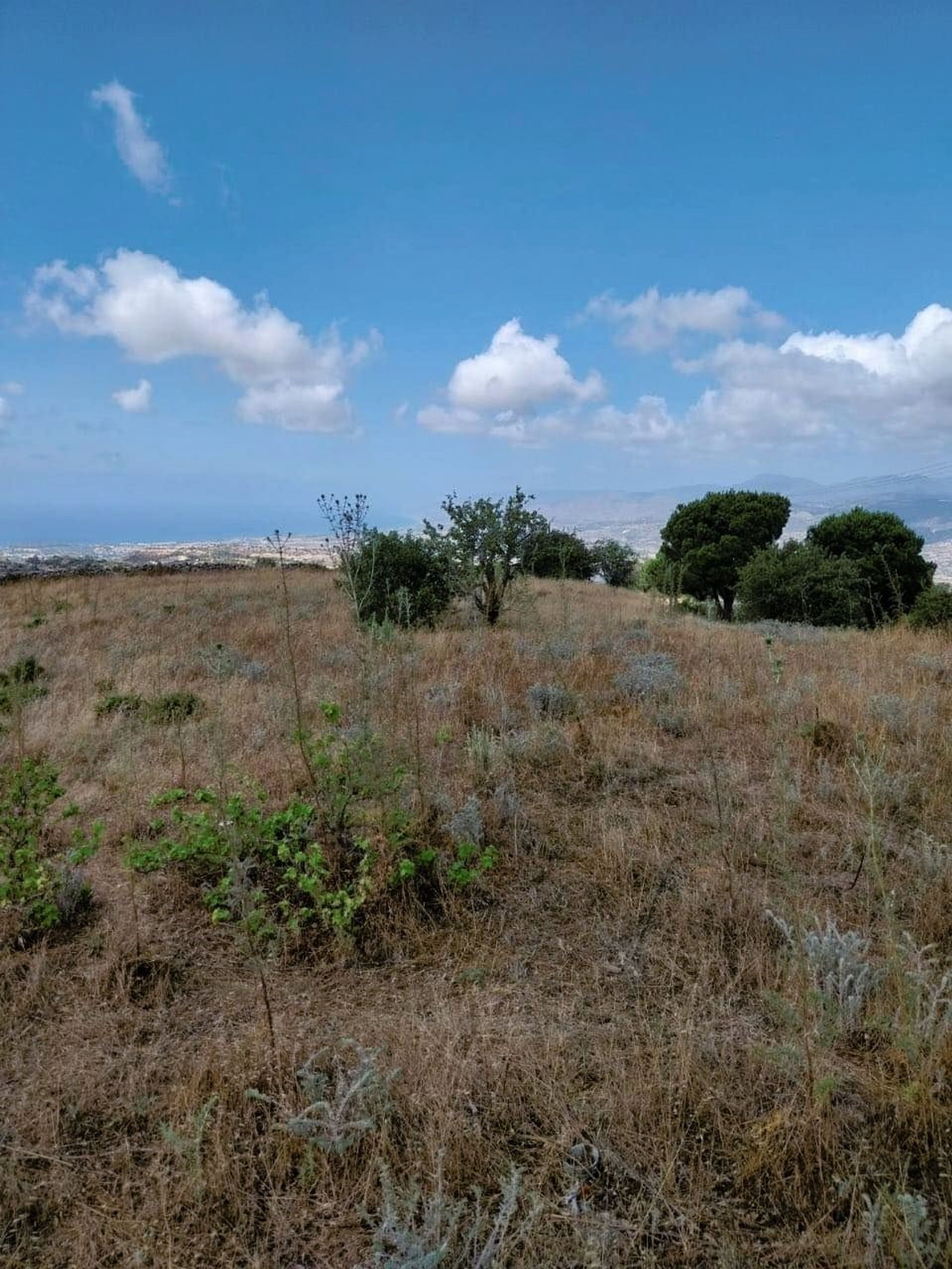 Land in Drouseia, Paphos 12722779