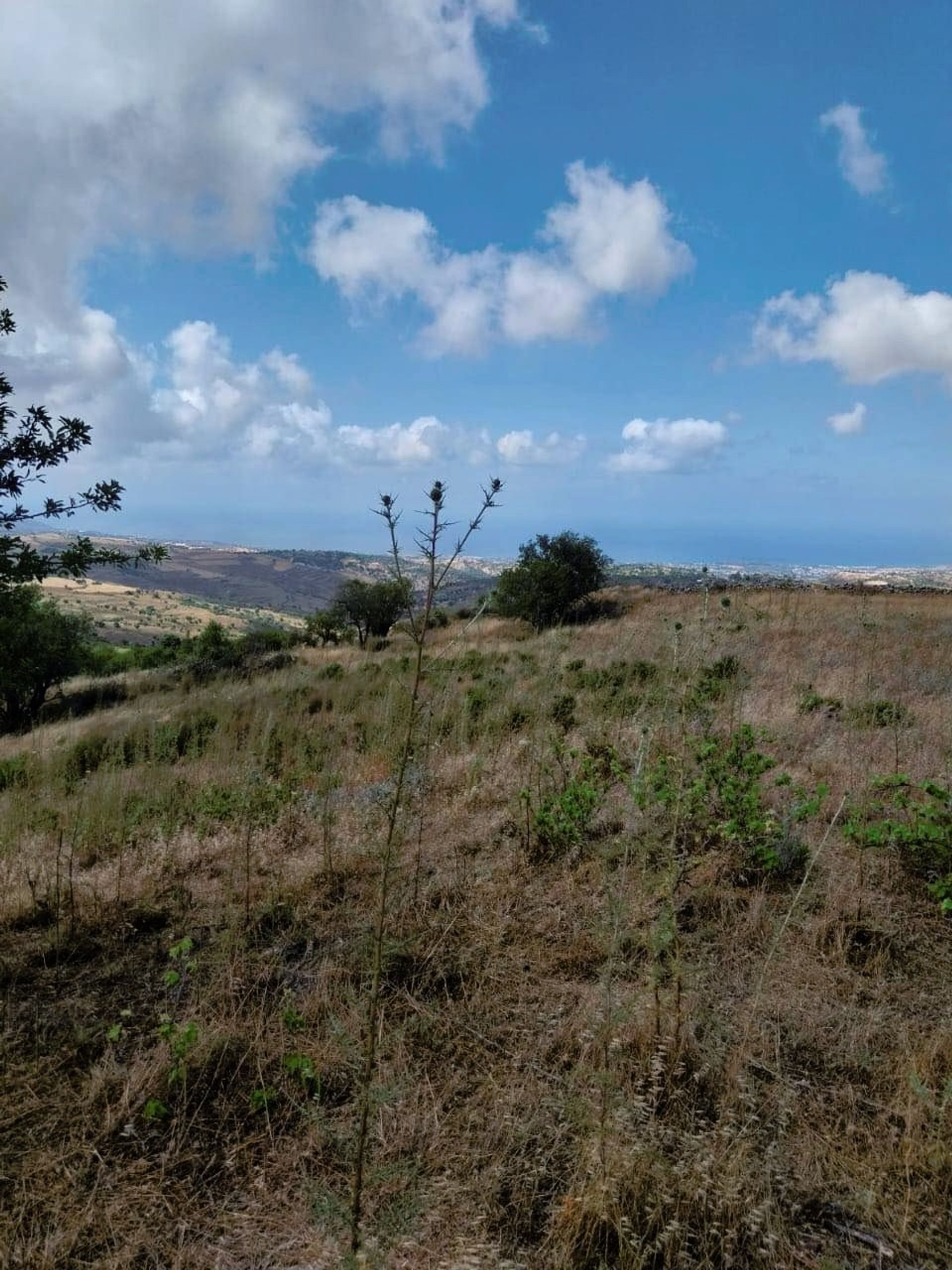 Land in Drouseia, Paphos 12722779