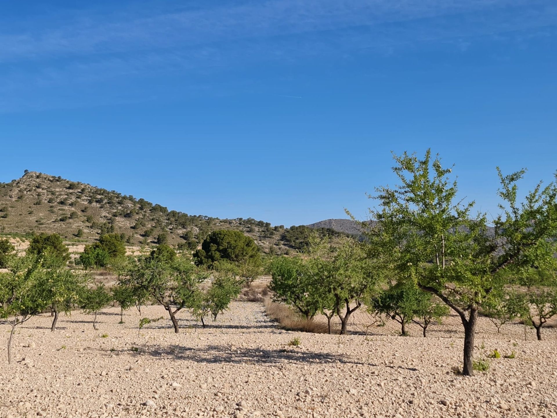 Haus im Raspay, Región de Murcia 12723673