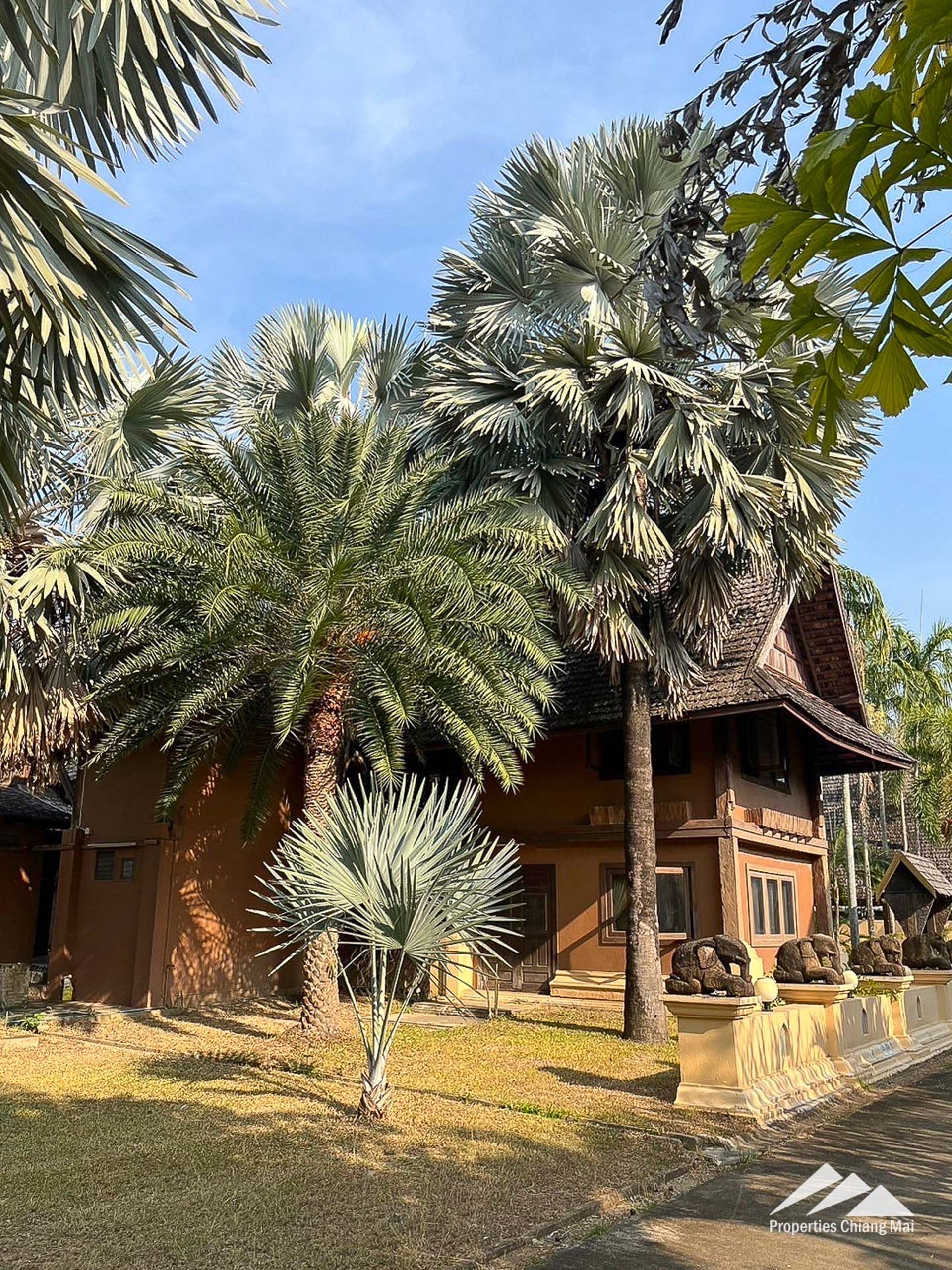 Другой в Tambon Hang Dong, Chang Wat Chiang Mai 12724793