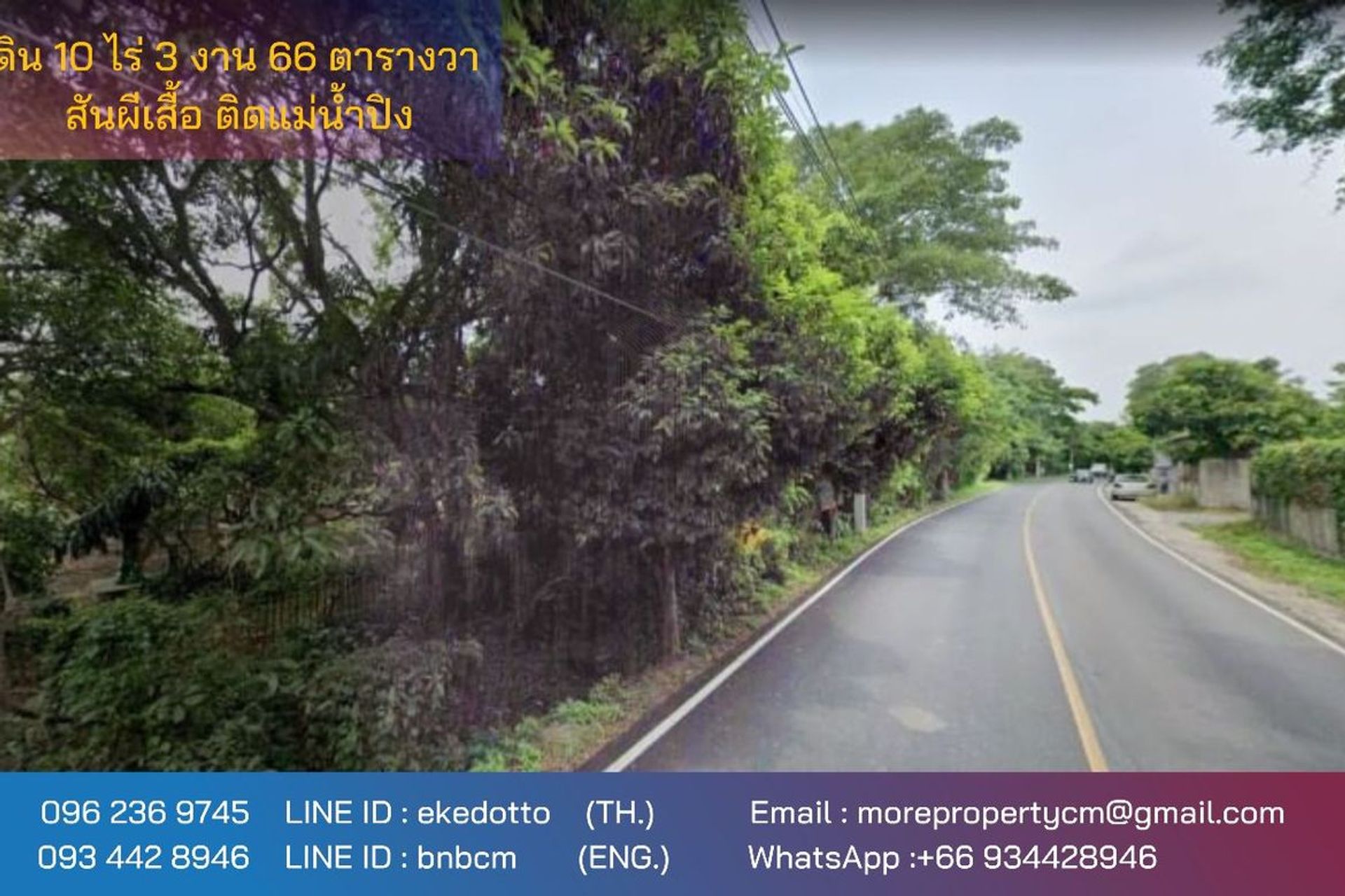 Land in Ban Rong O, Chiang Mai 12724867