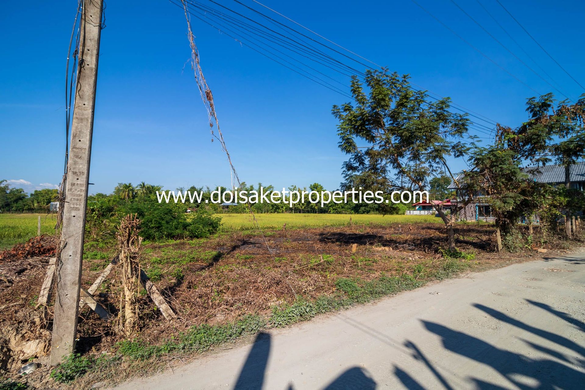 Land i Tambon Sa-nga Ban, Chang Wat Chiang Mai 12724918