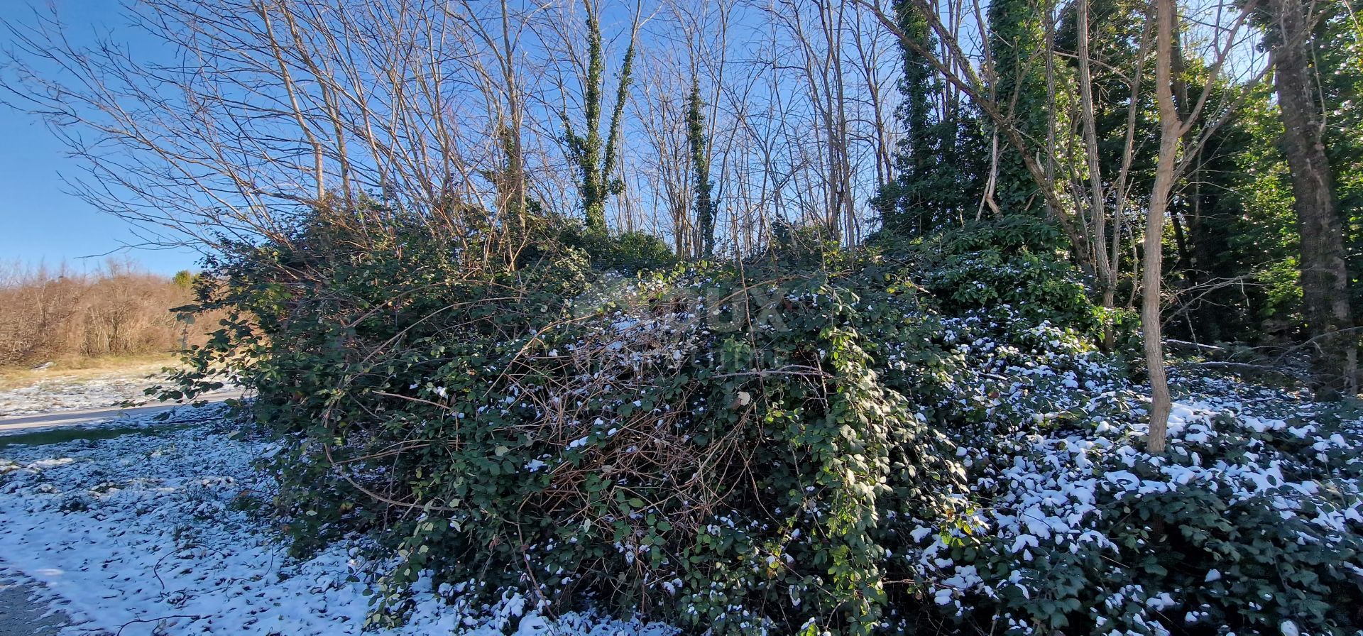 Terre dans Pićan, Istria County 12727354